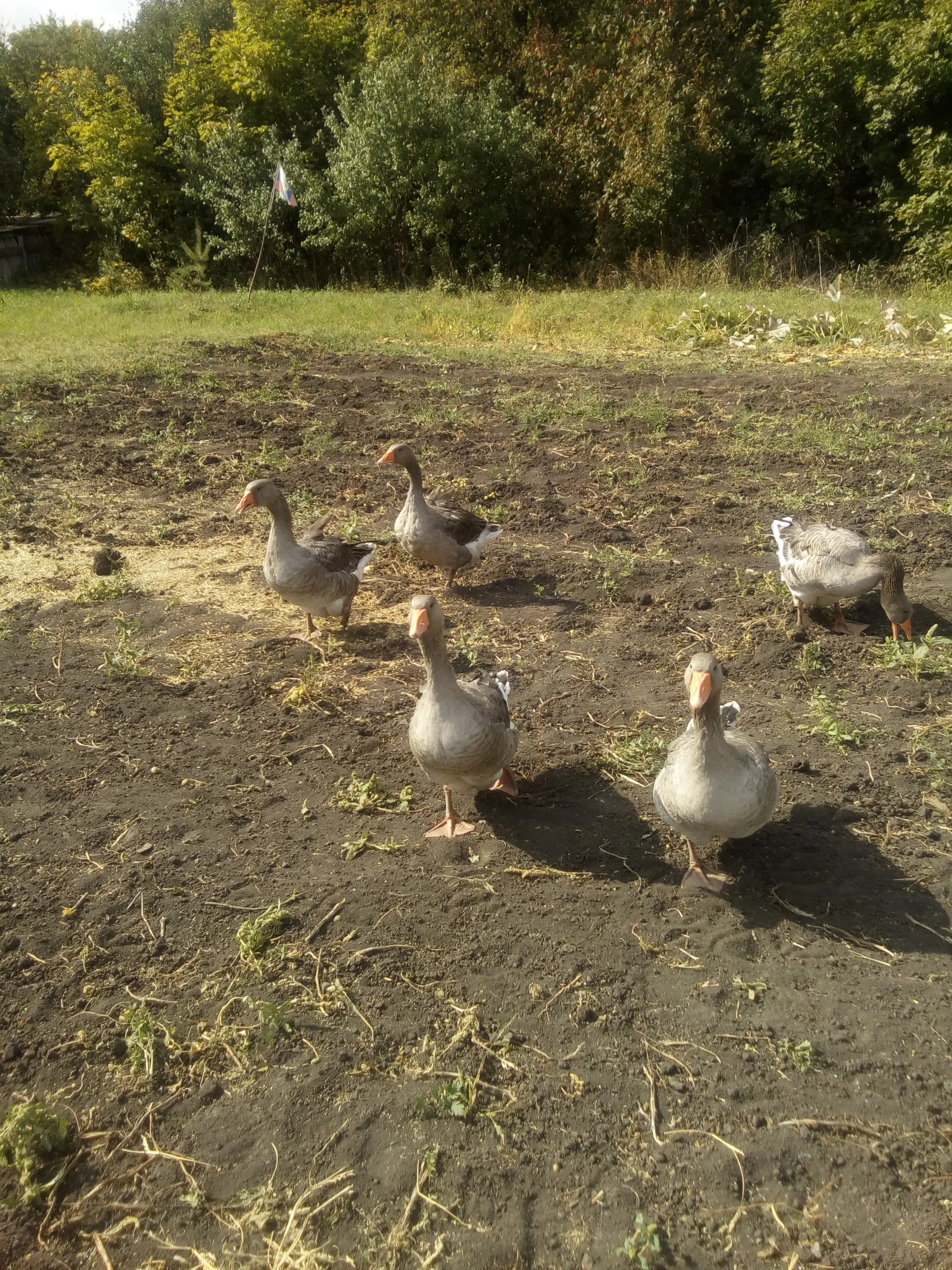 2018-09-13 13-33-51.webp