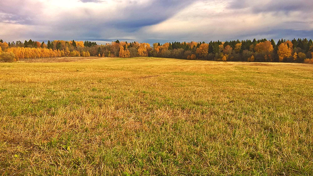 2018-10-13 12-26-22_2.webp