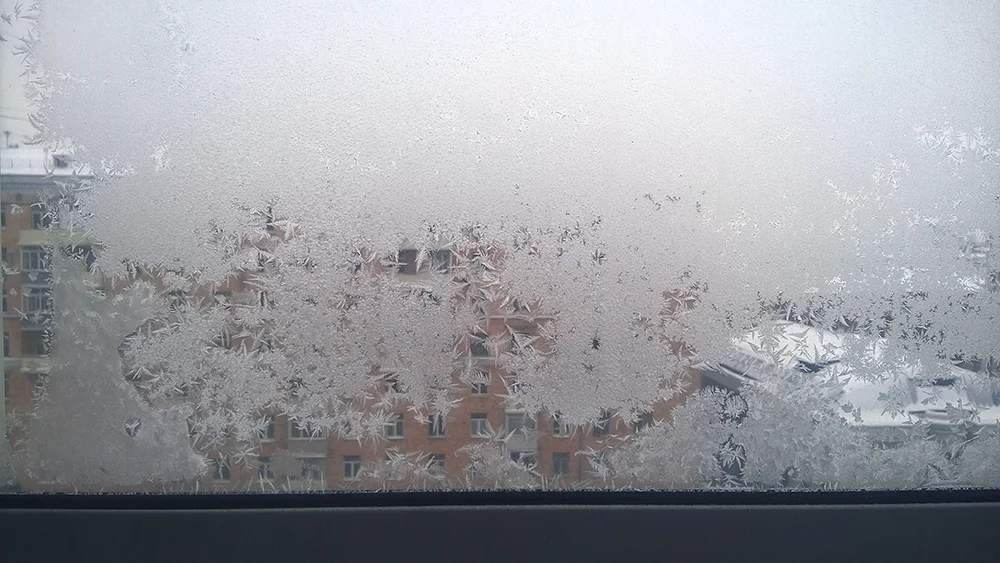 2018-12-23 12-24-48_1.webp