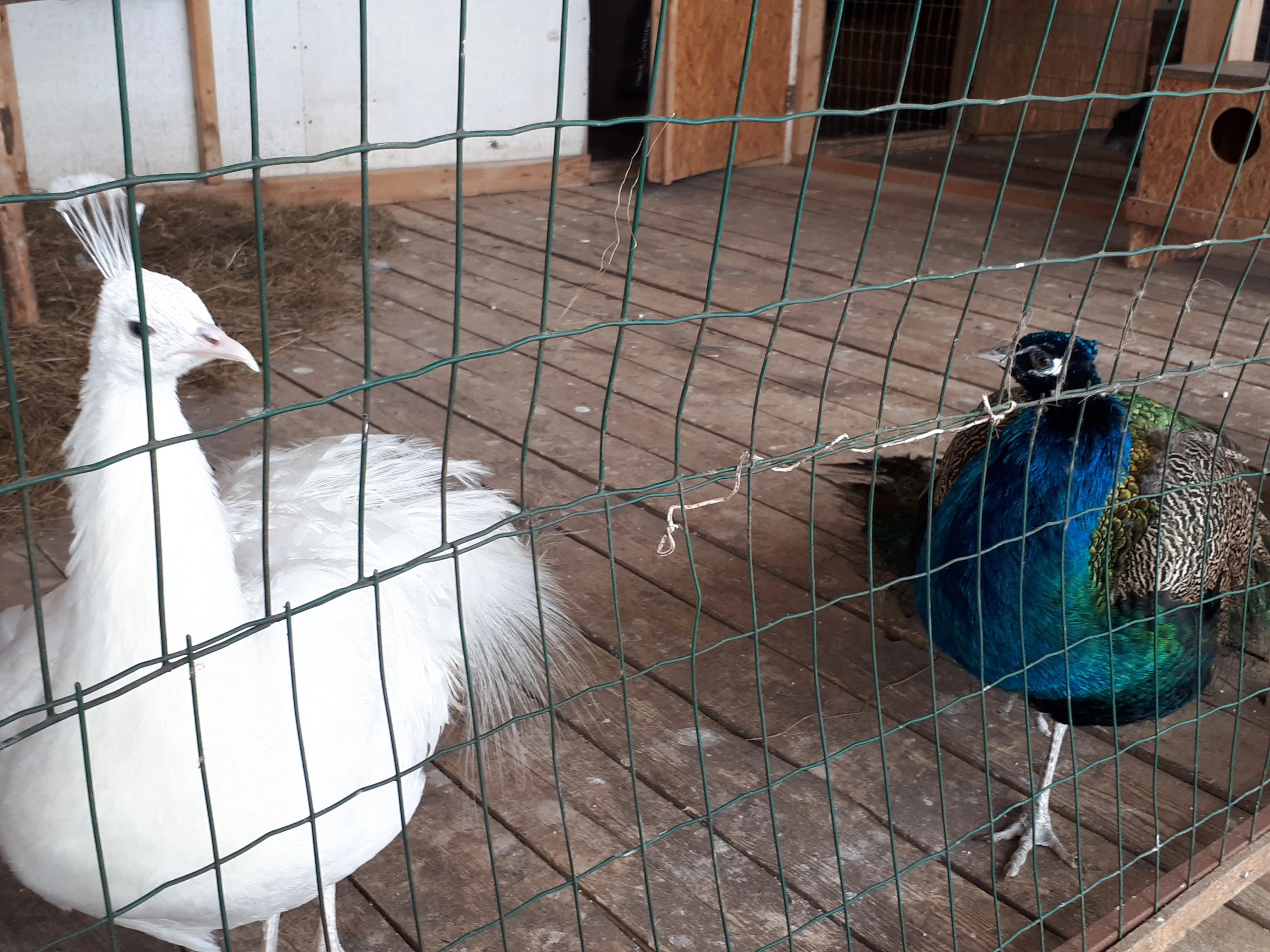 20180217_115942 (1).webp