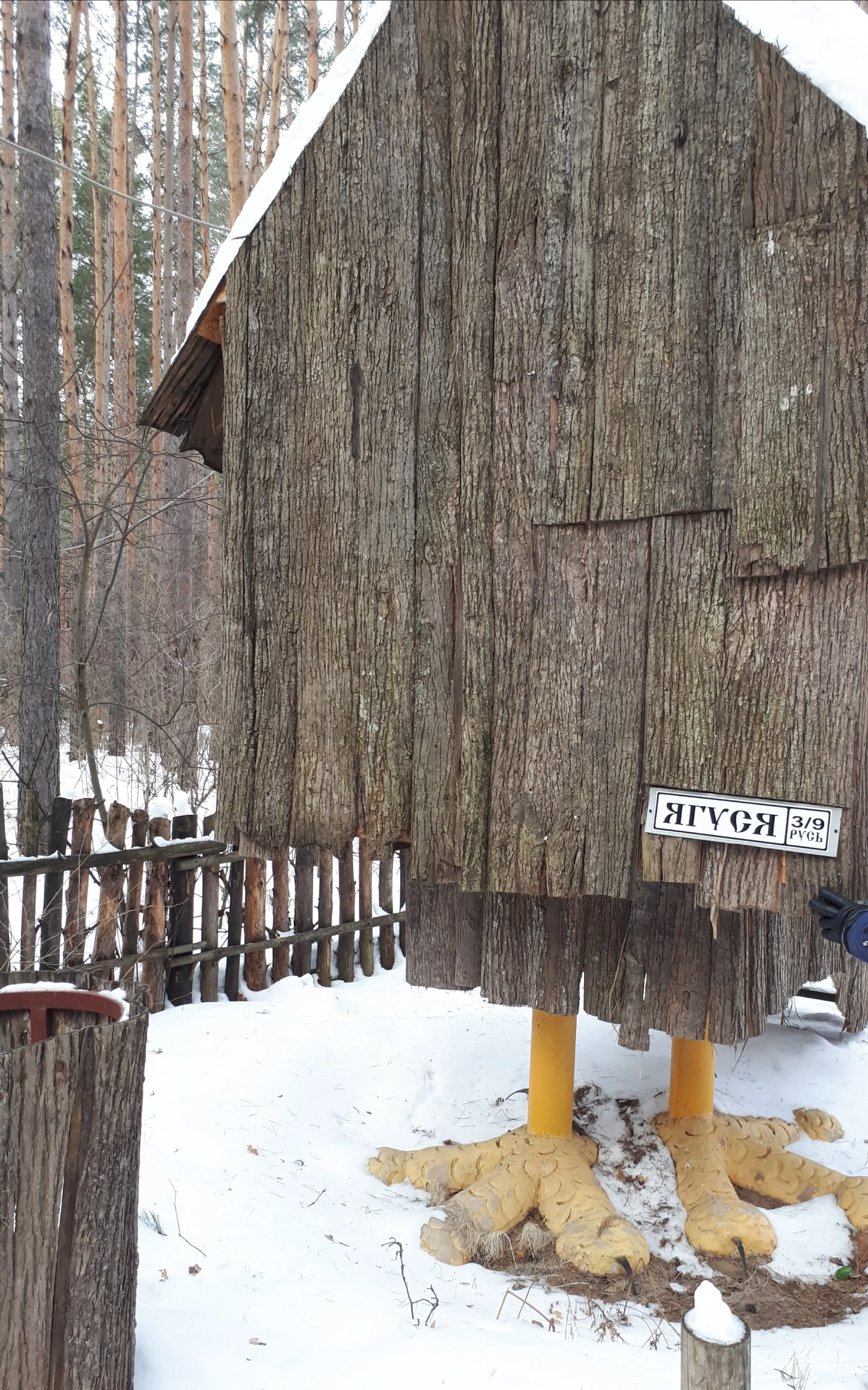 20180217_162122 (1).webp