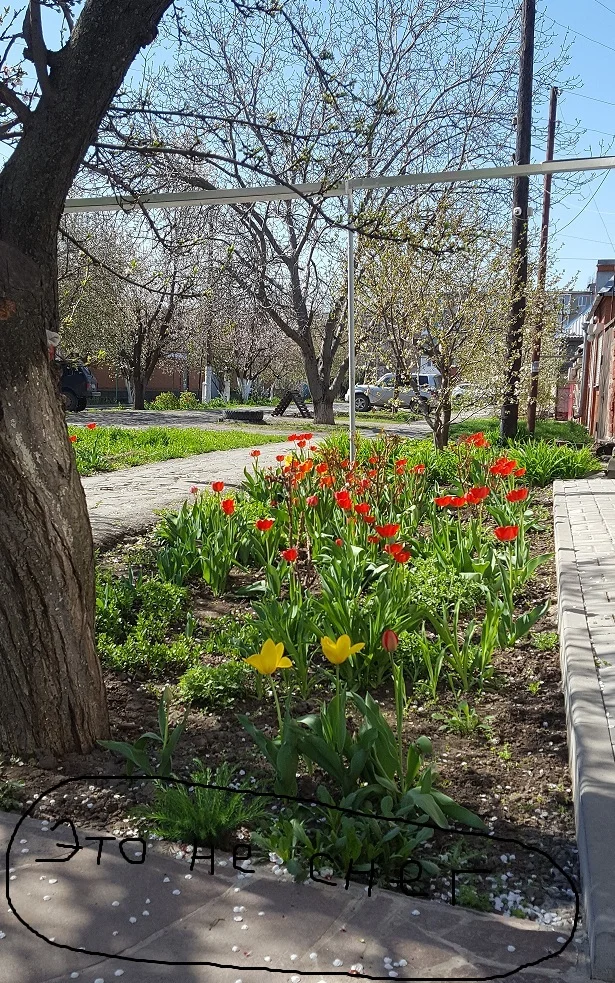 20180421_100335_001 - копия.webp