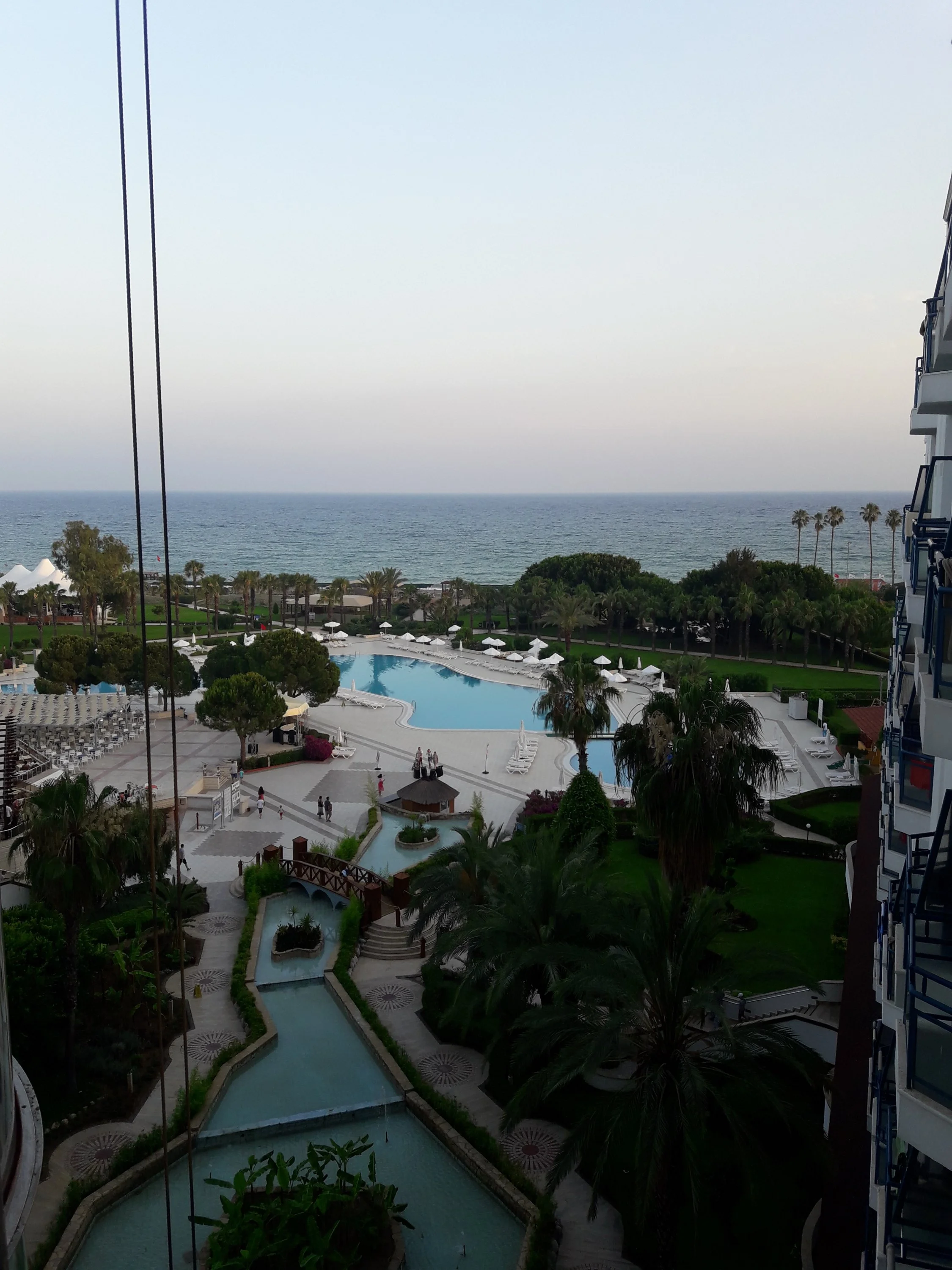 20180609_194206.webp 20180609_194206.webp