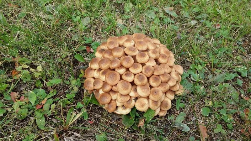 20180908_124748 1.webp