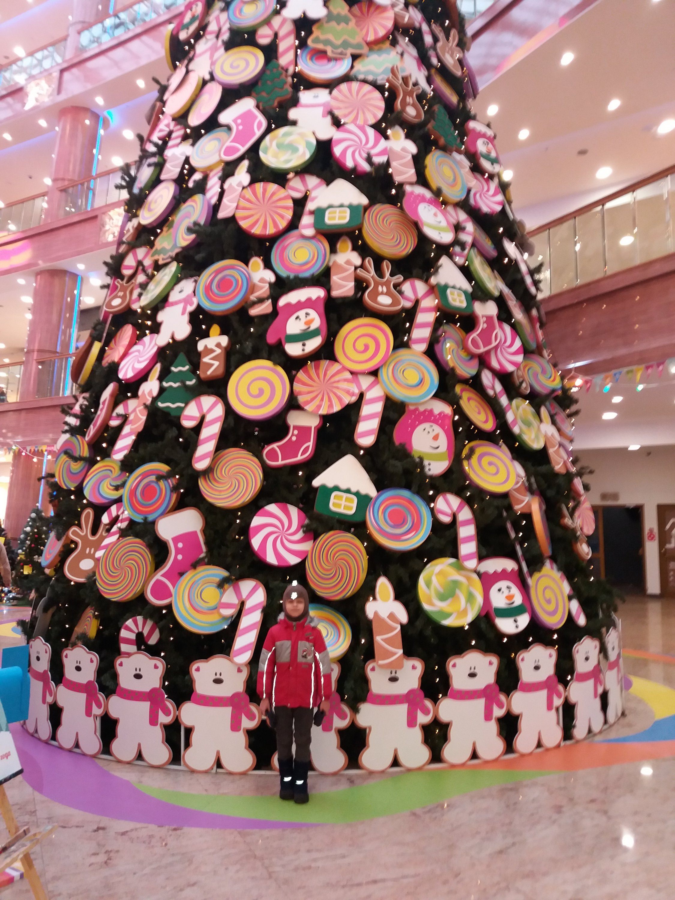 20181208_142427.jpg