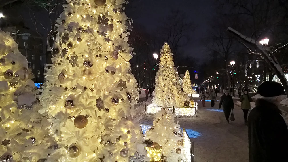 2019-01-08 20-15-10_1.webp