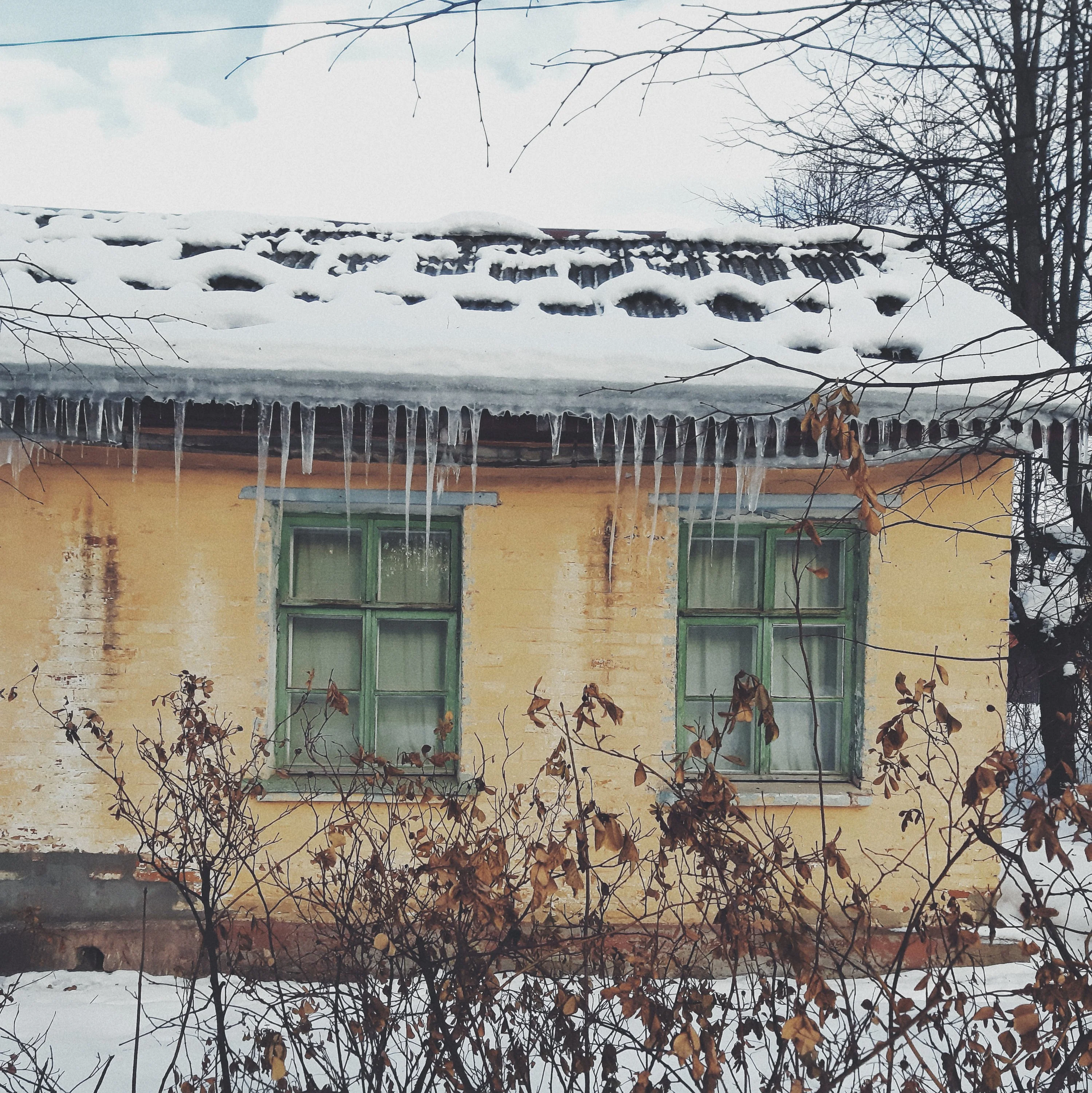 2019-01-19 02.09.12 1.webp