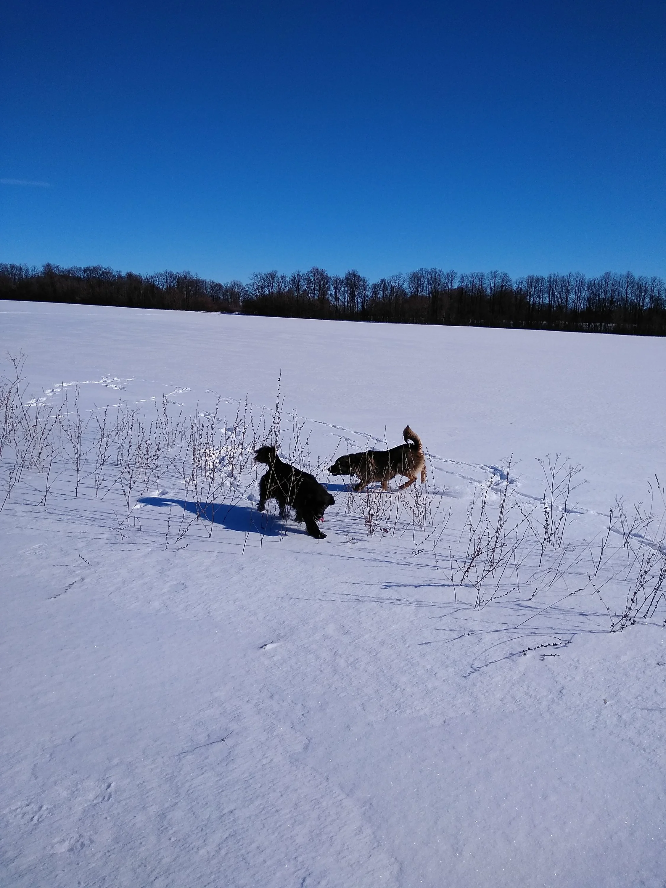 2019-02-23 13-37-02.webp