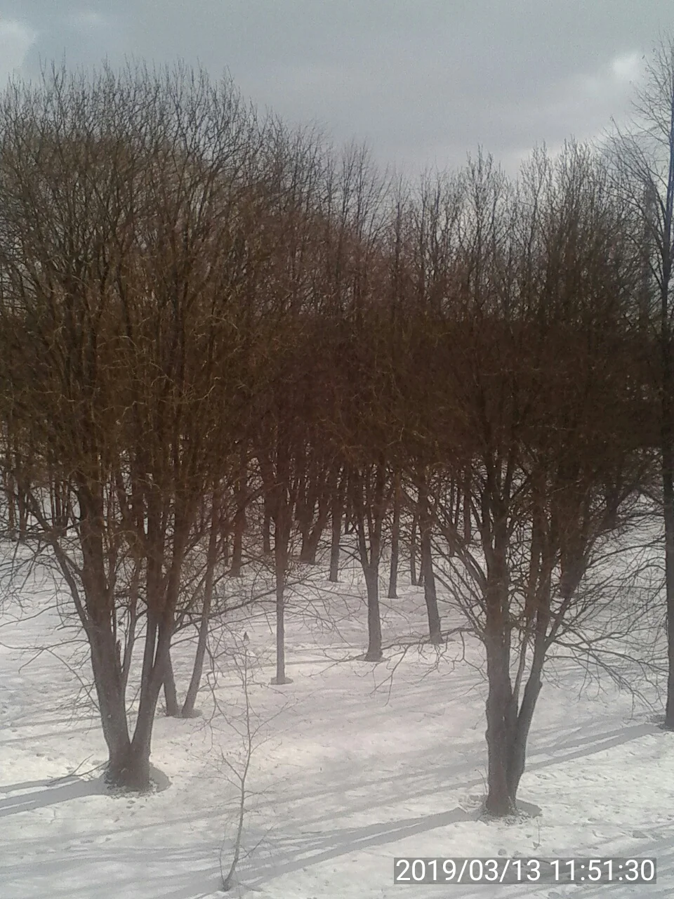 2019-03-13 11-51-31.webp