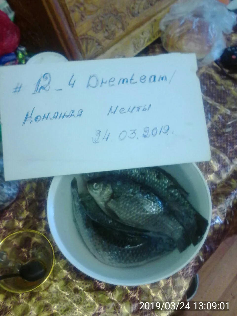 2019-03-24 13-09-01.webp