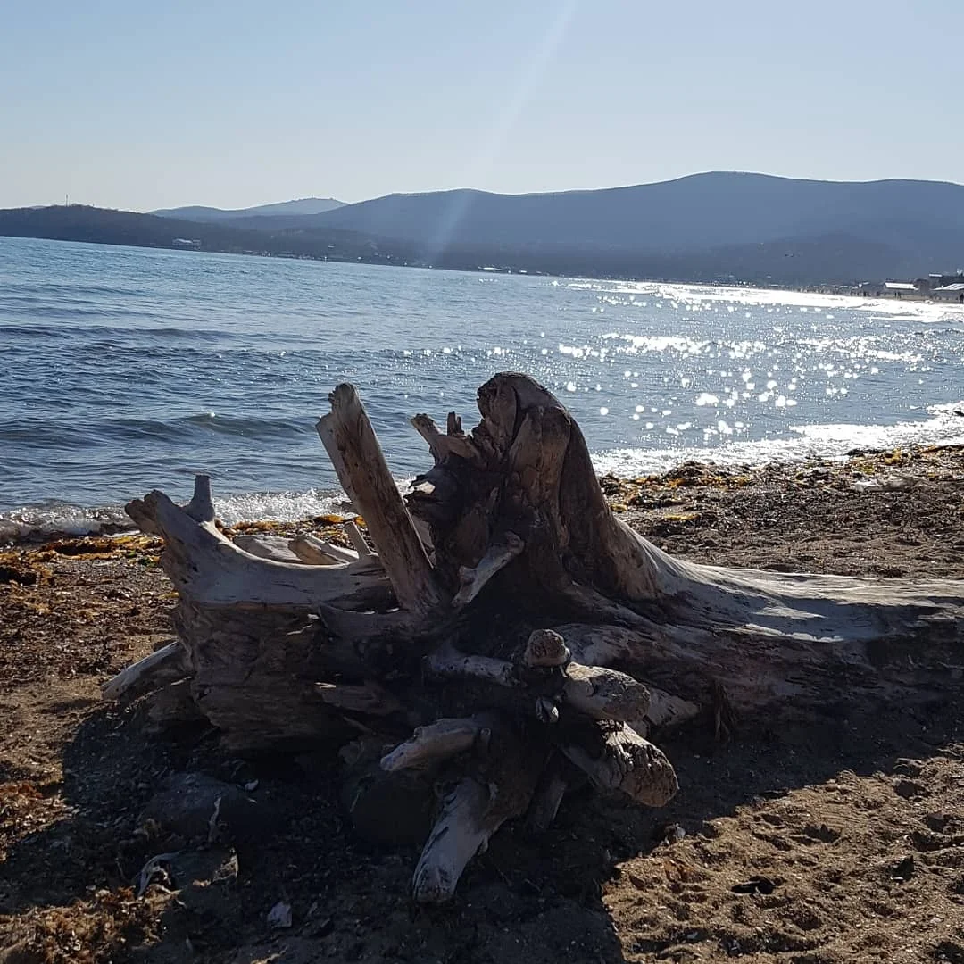 2019-05-03 17-45-08.webp