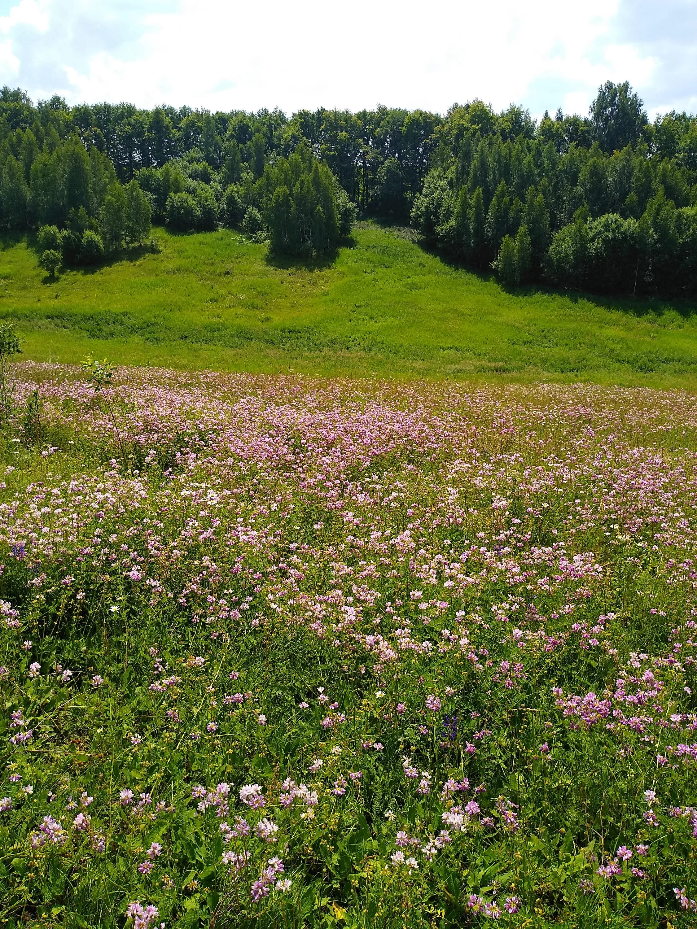 2019-06-16 11-10-15.webp