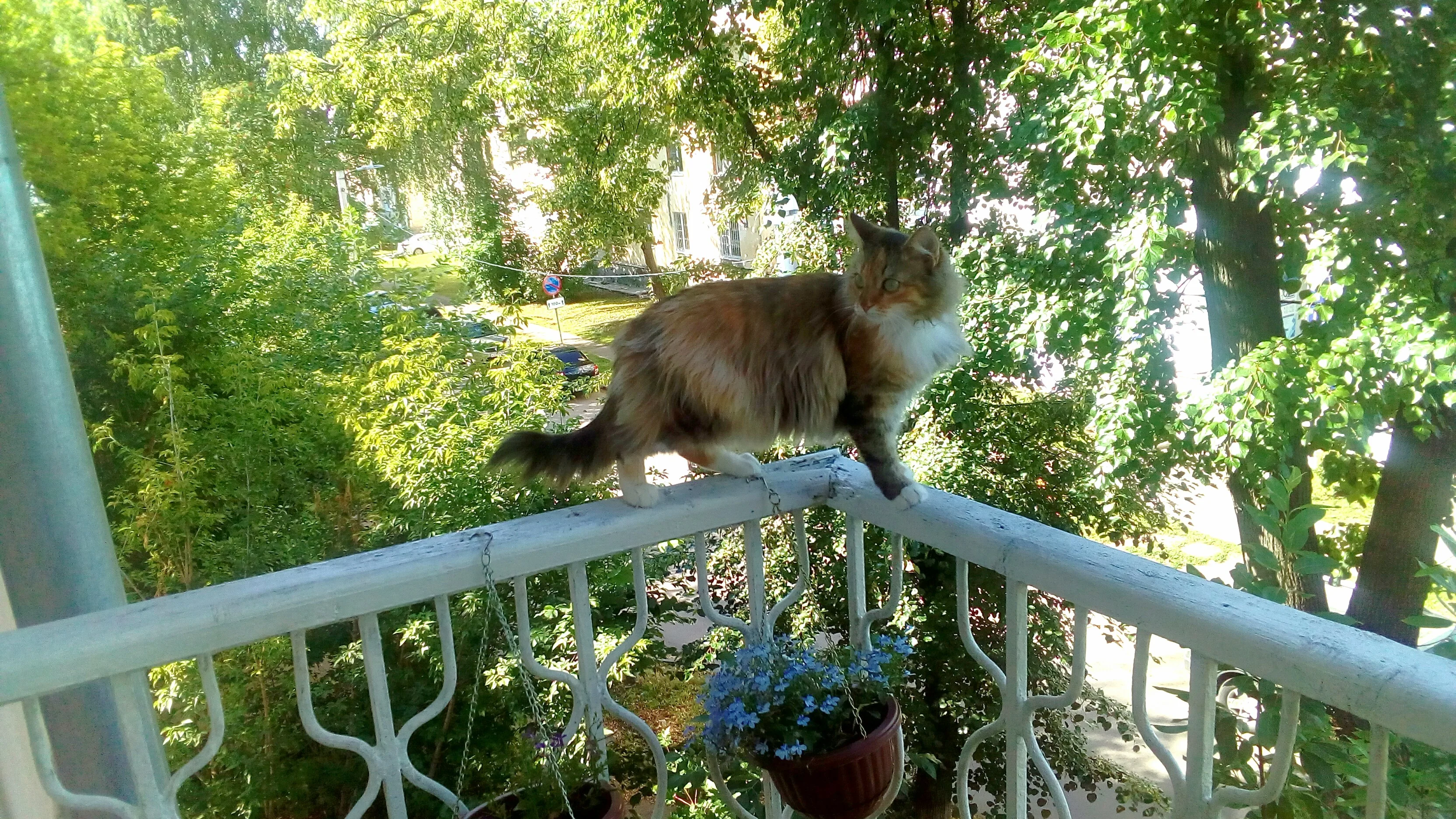 2019-07-08 08-59-37_1562565634129.webp