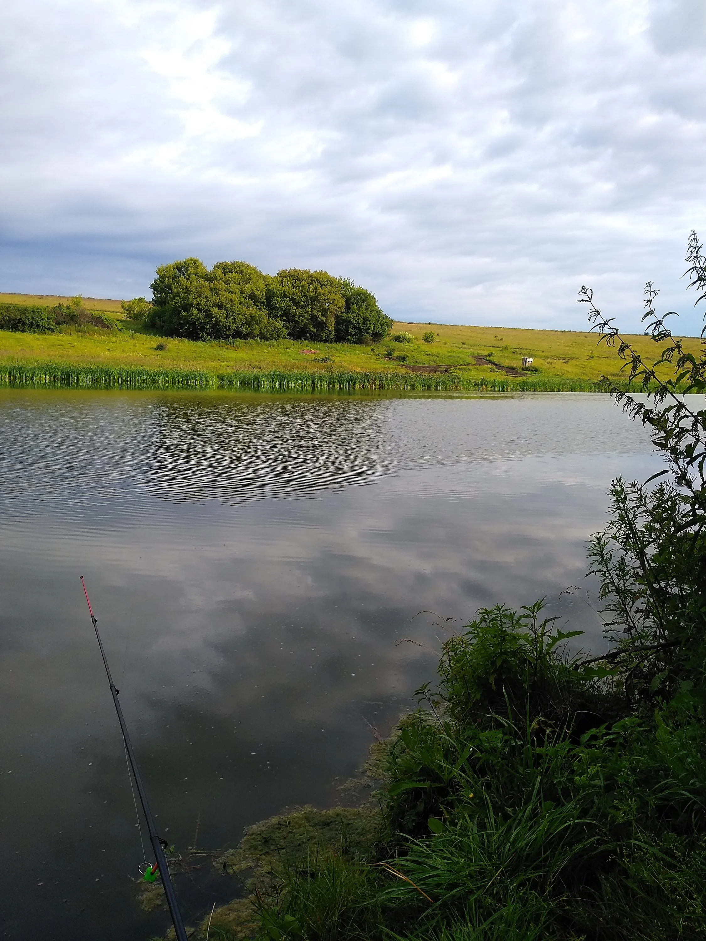 2019-07-15 07-50-11.webp