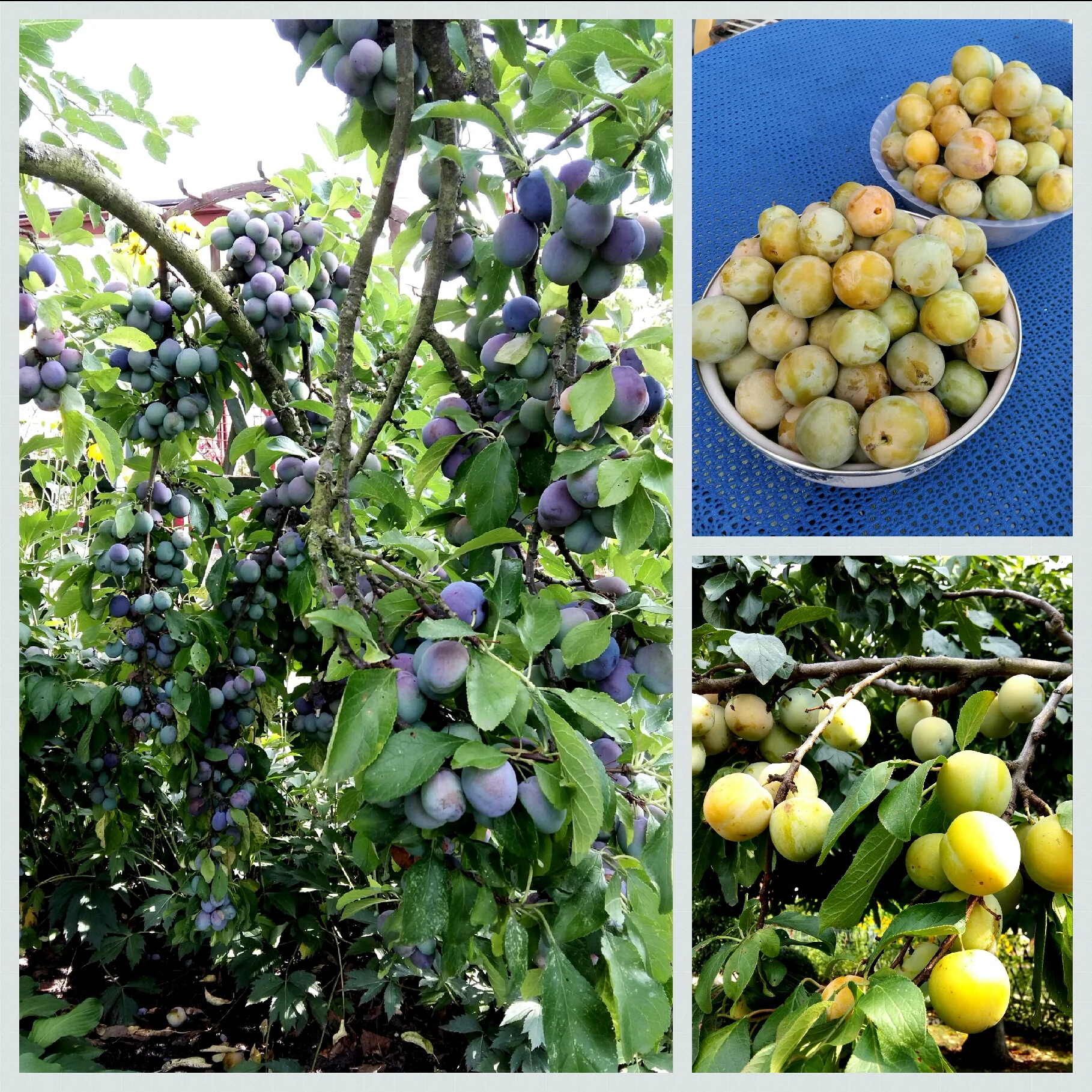 2019-08-04 17.41.03.webp