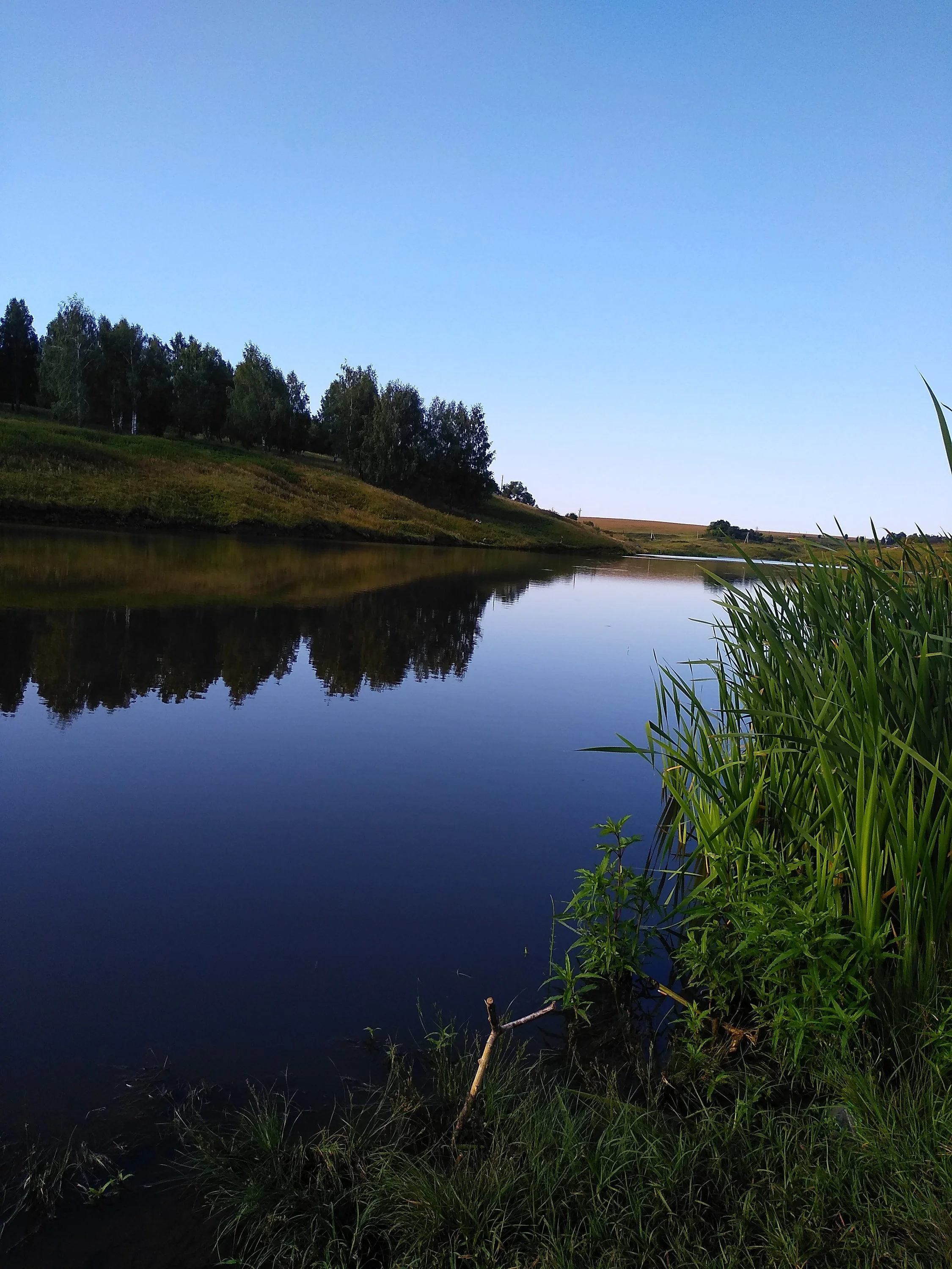 2019-08-11 07-49-52.webp