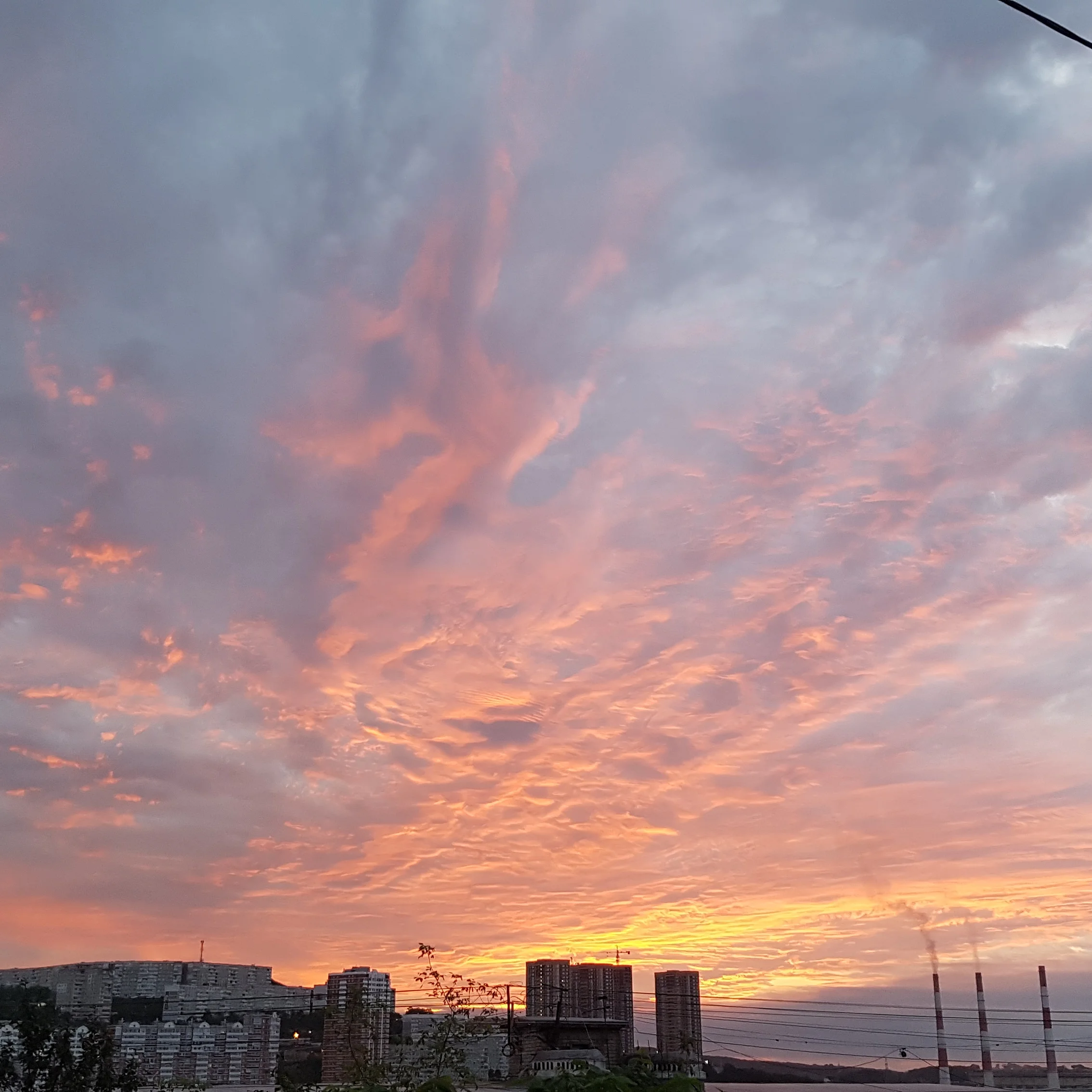 2019-08-15 10-47-43.webp