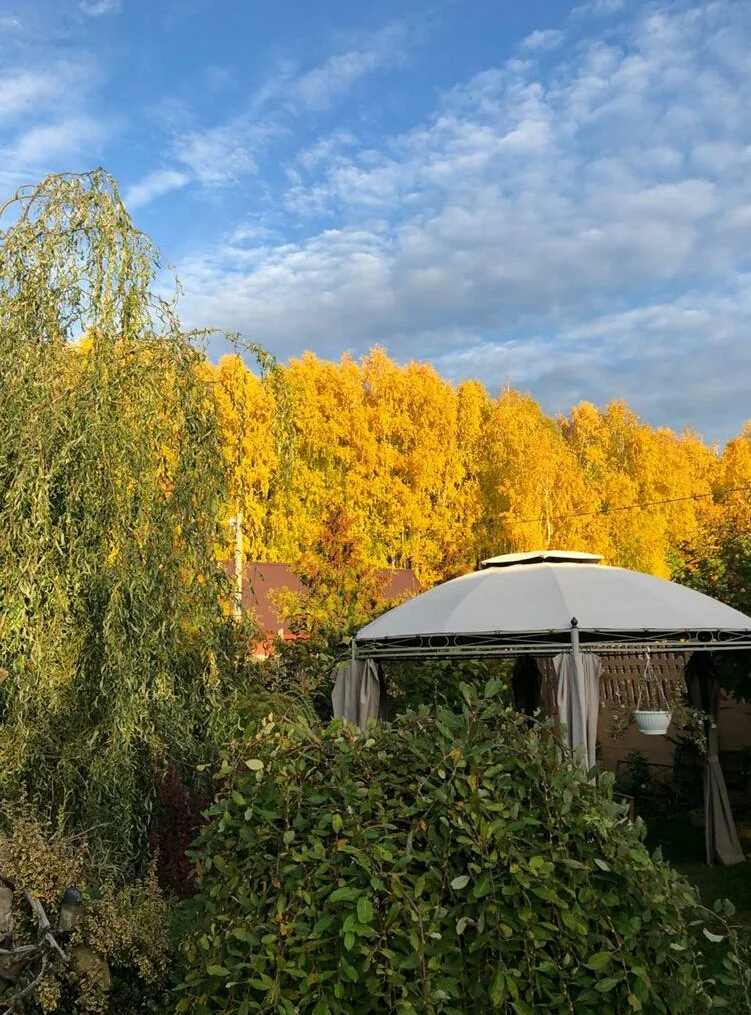 2019-10-05 15.17.48.webp