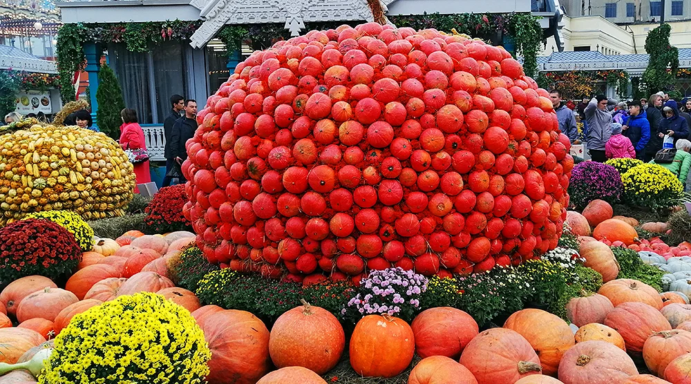 2019-10-05 15-51-41_1.jpg