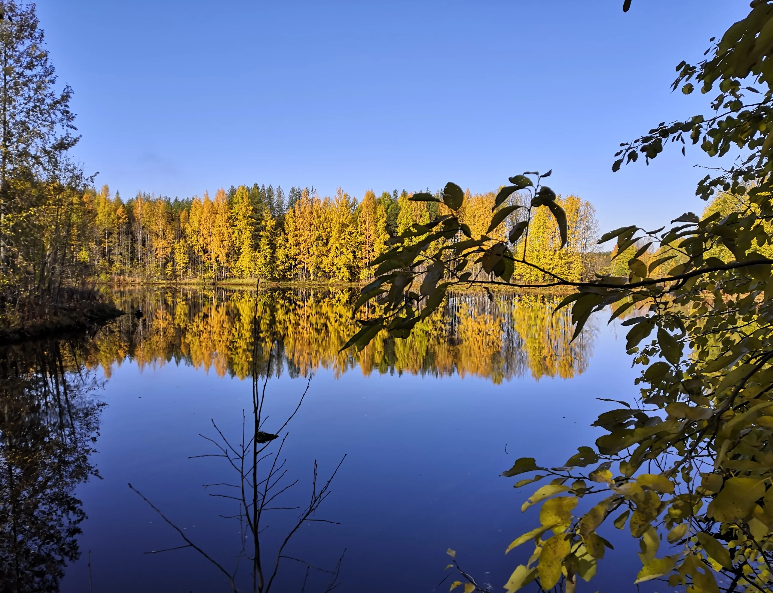 2019-10-06 10-44-17.webp