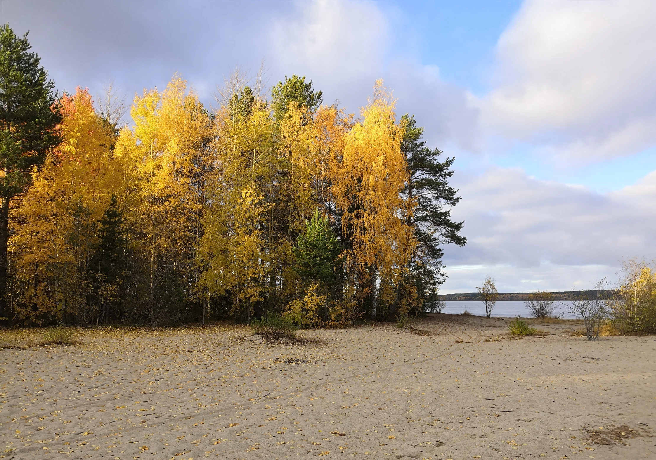 2019-10-06 15-46-11.webp