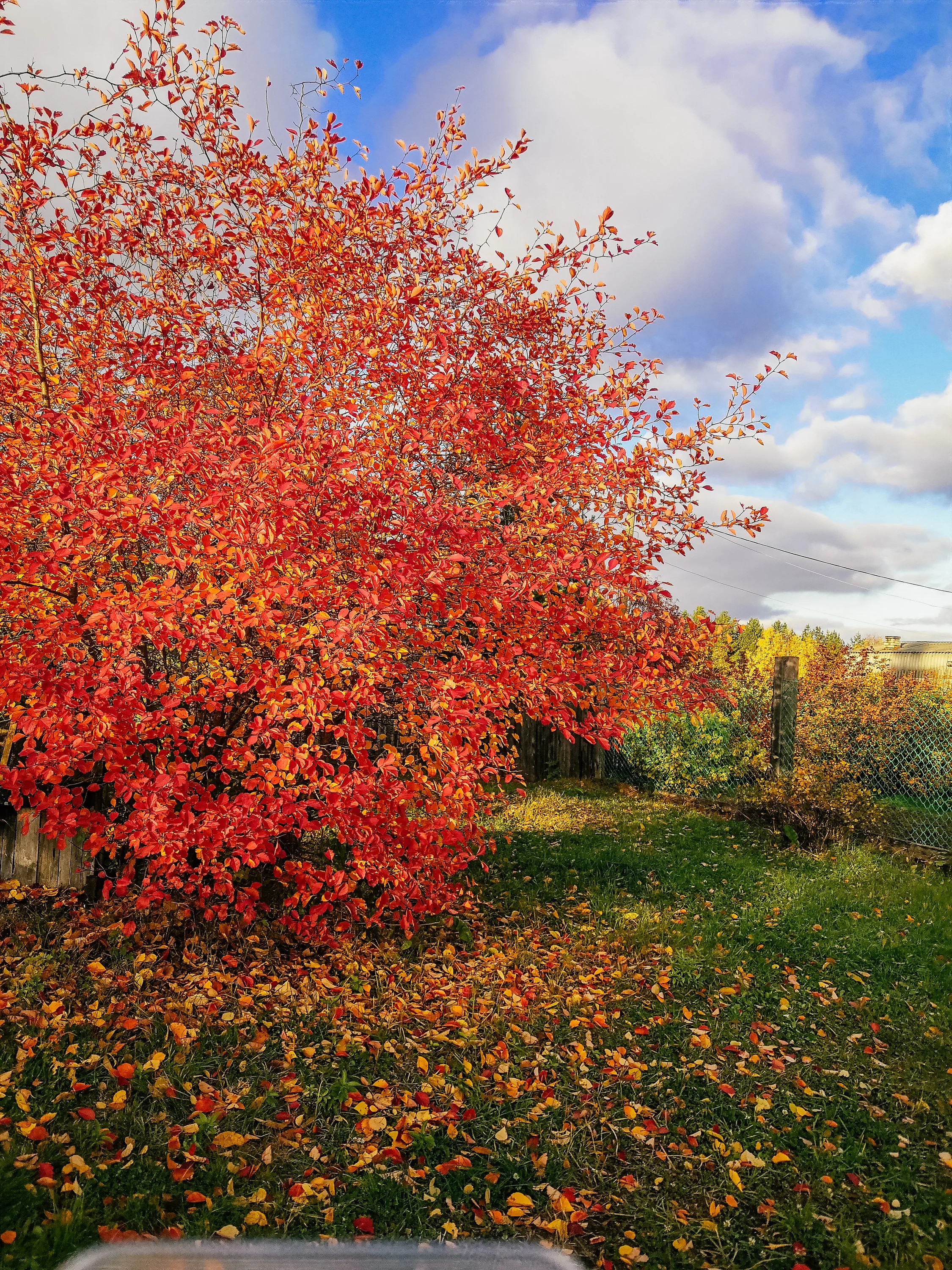 2019-10-06 18-43-46.webp