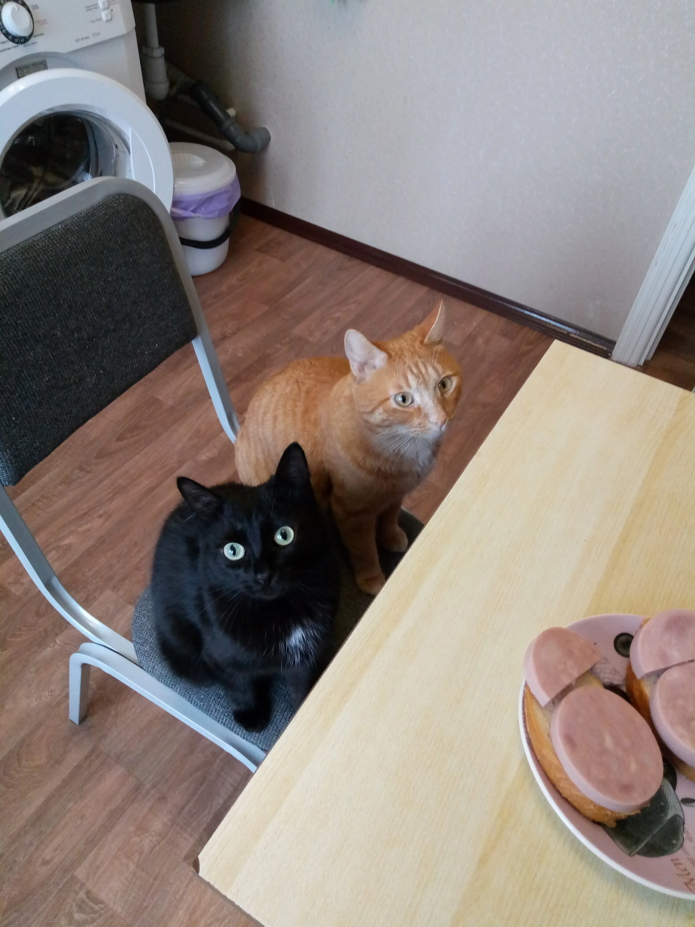 2019-10-22 12-11-10.webp