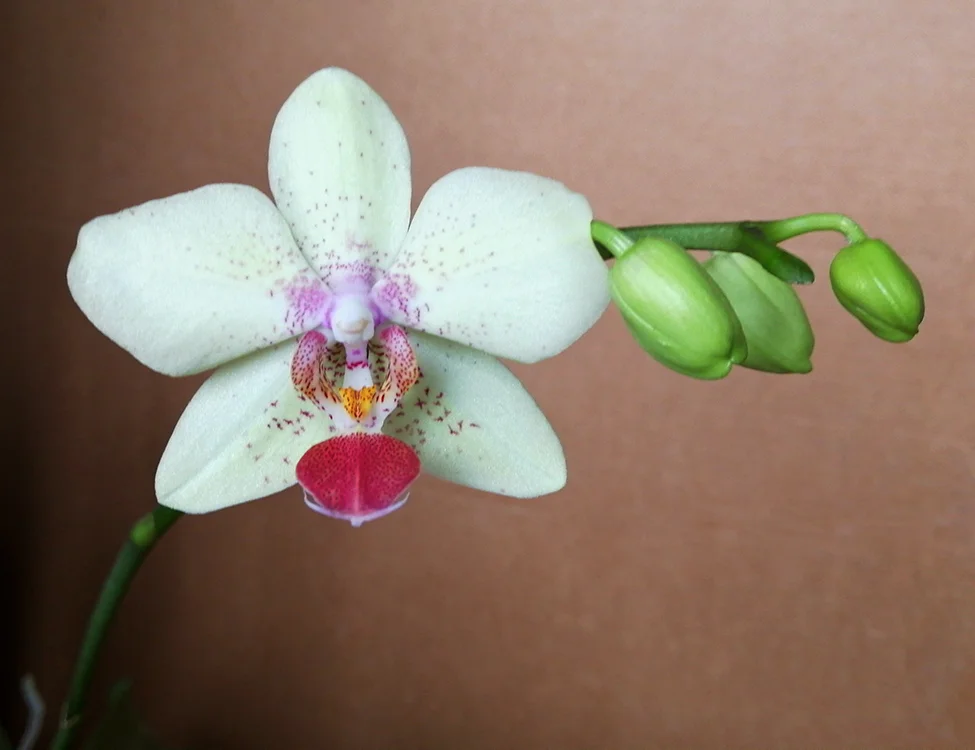 2019-10-29 12-47-22.webp