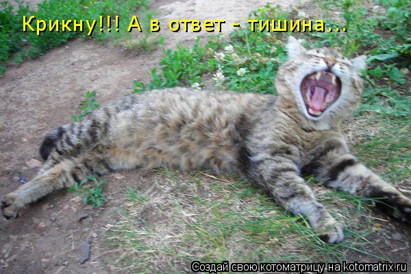 2019-12-21-21-20-33.jpg