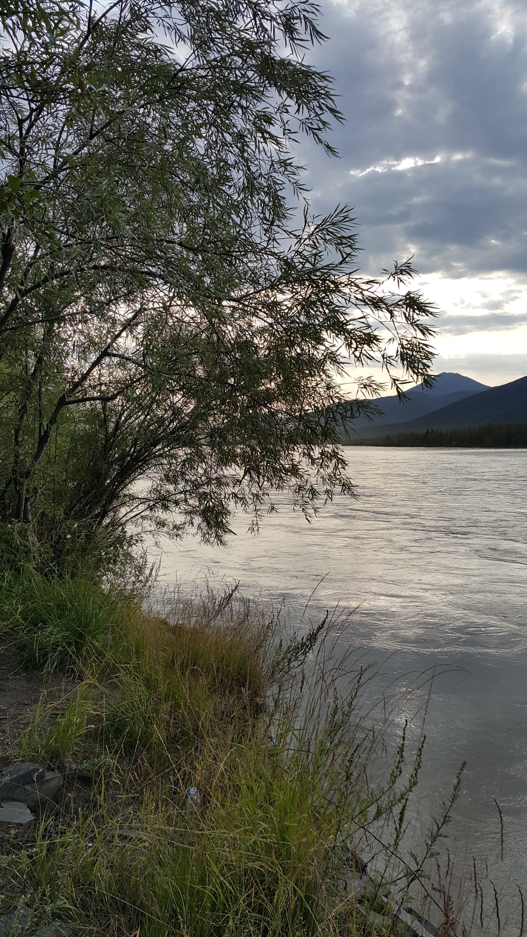 20190809_175134.jpg