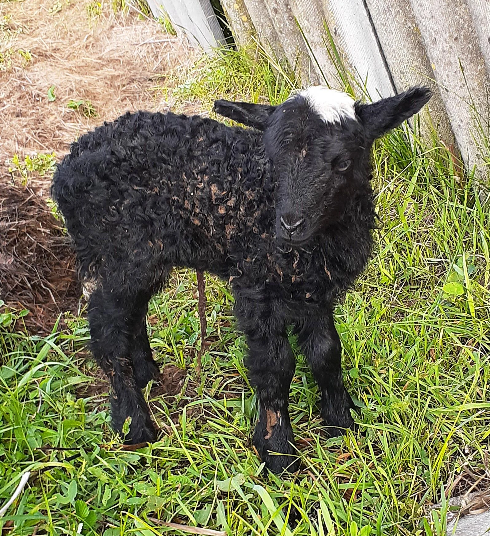 20190831_090118 2.webp