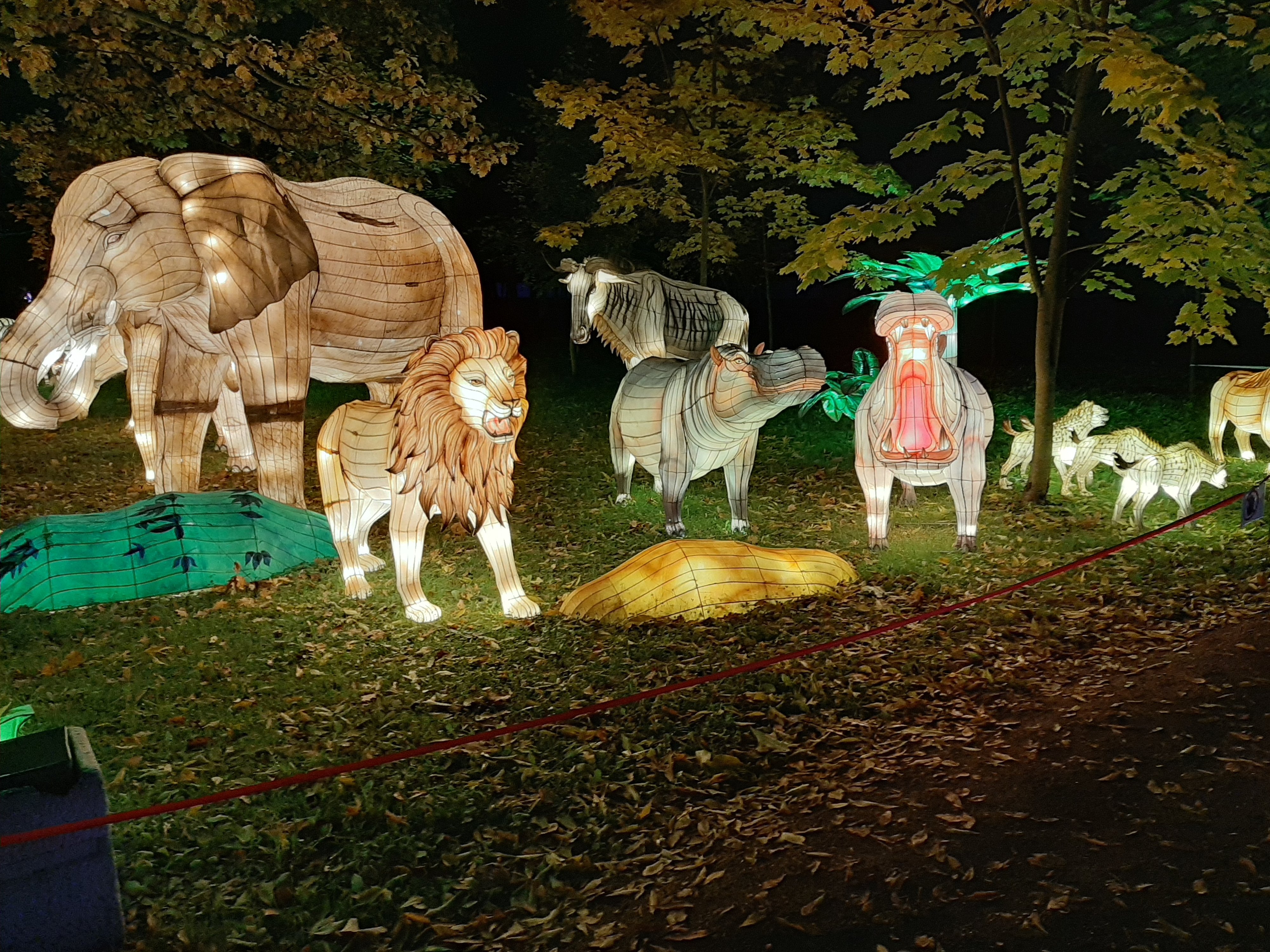 20191004_224325.jpg 20191004_224325.jpg