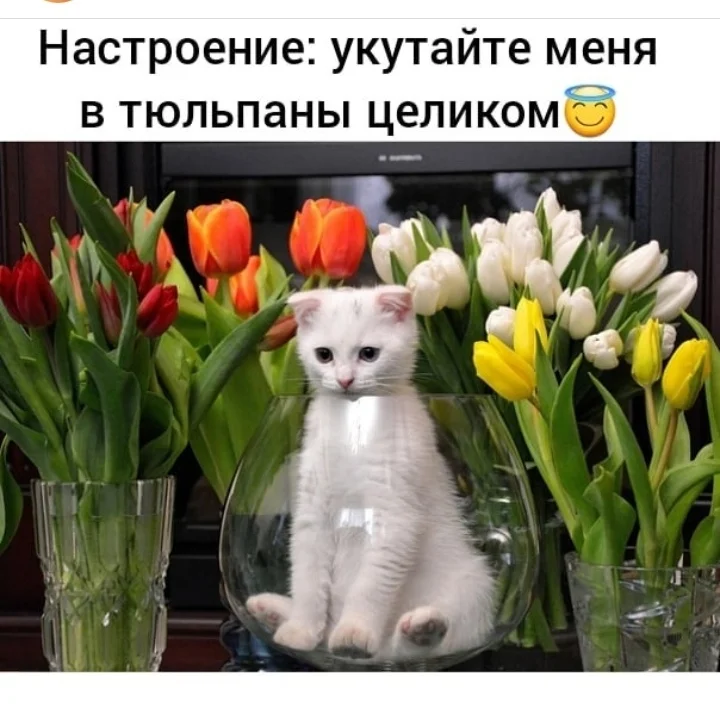 2020-03-08 23-48-28.webp