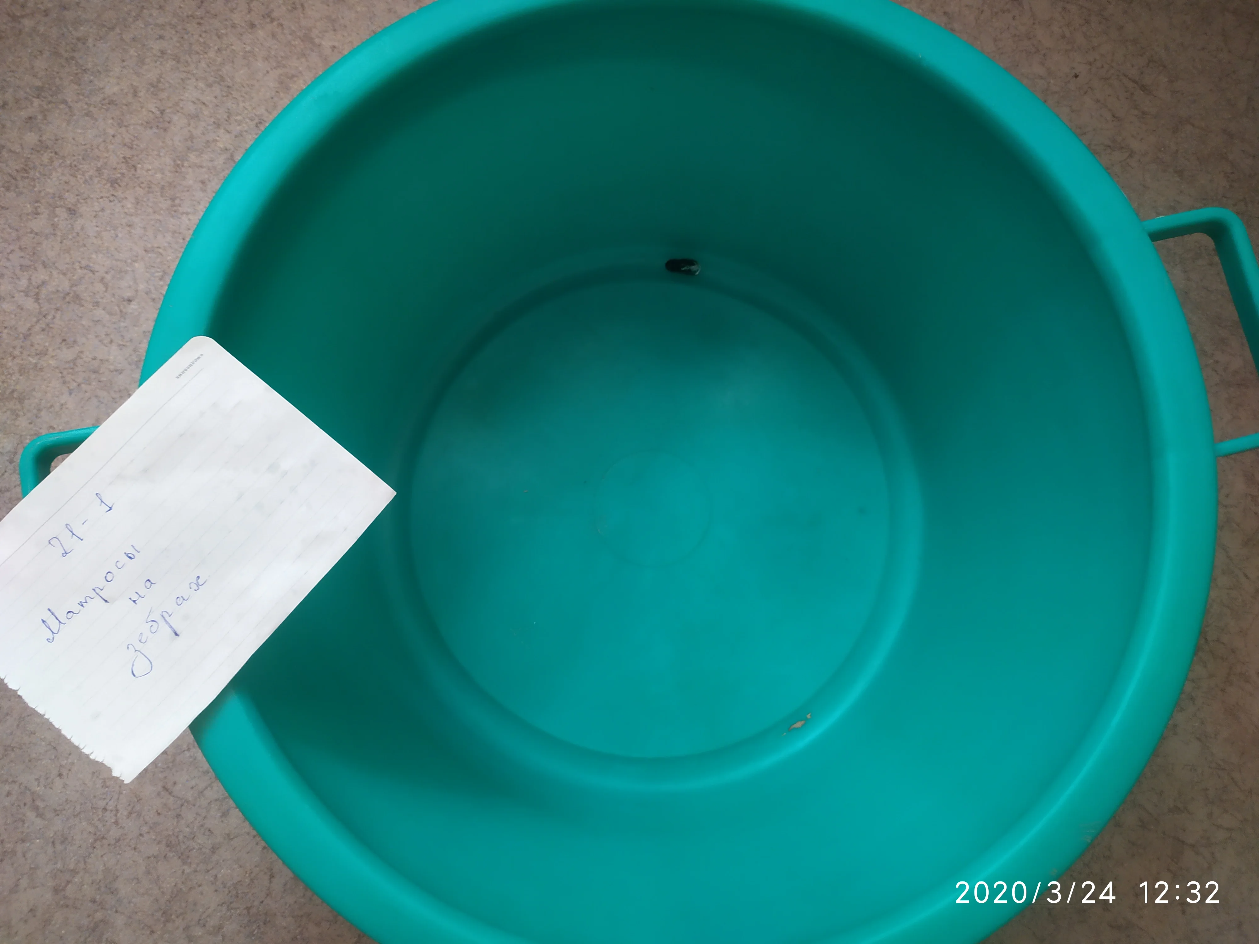 2020-03-24 12.31.57.webp