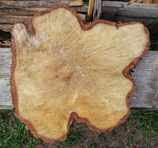 2020-05-07 12-26-55.webp