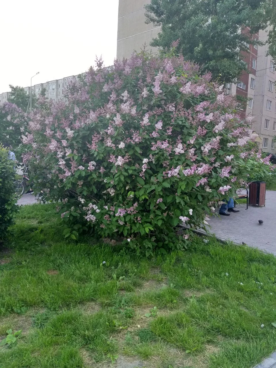 2020-05-29 11.04.57.webp