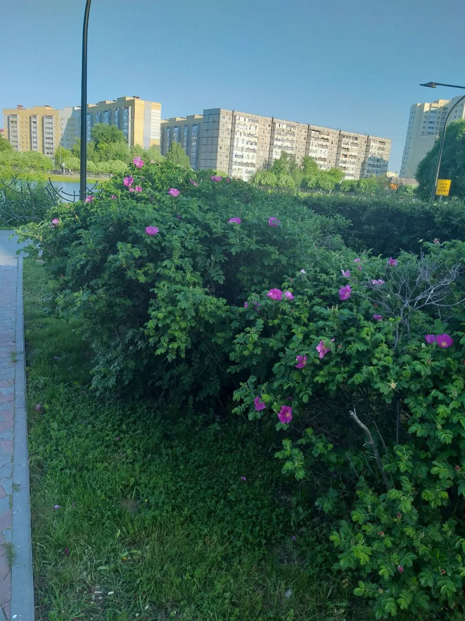 2020-05-29 11.05.15.jpg