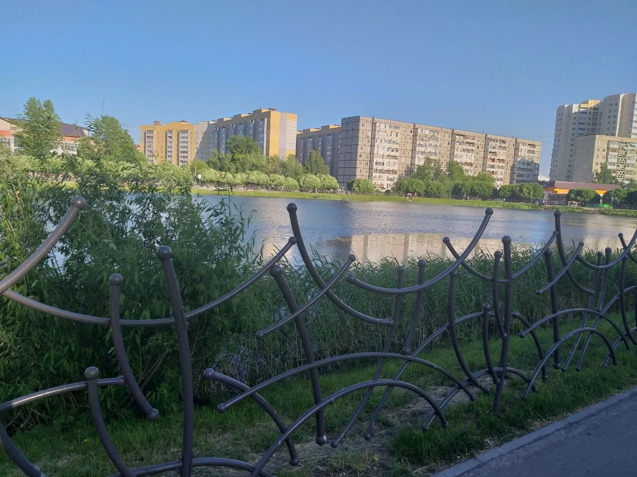 2020-05-29 11.05.23.webp