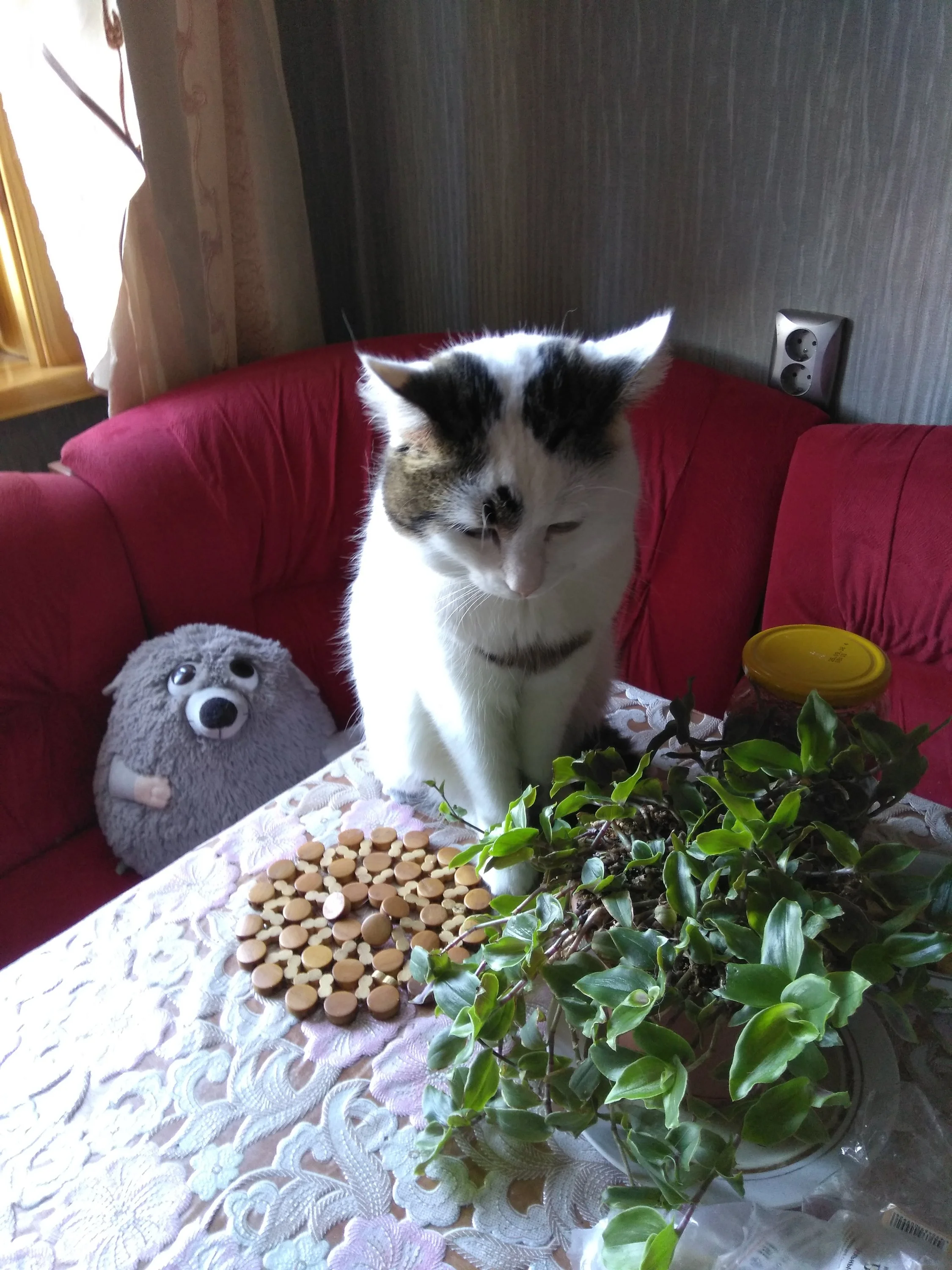 2020-07-18 08-17-38.webp