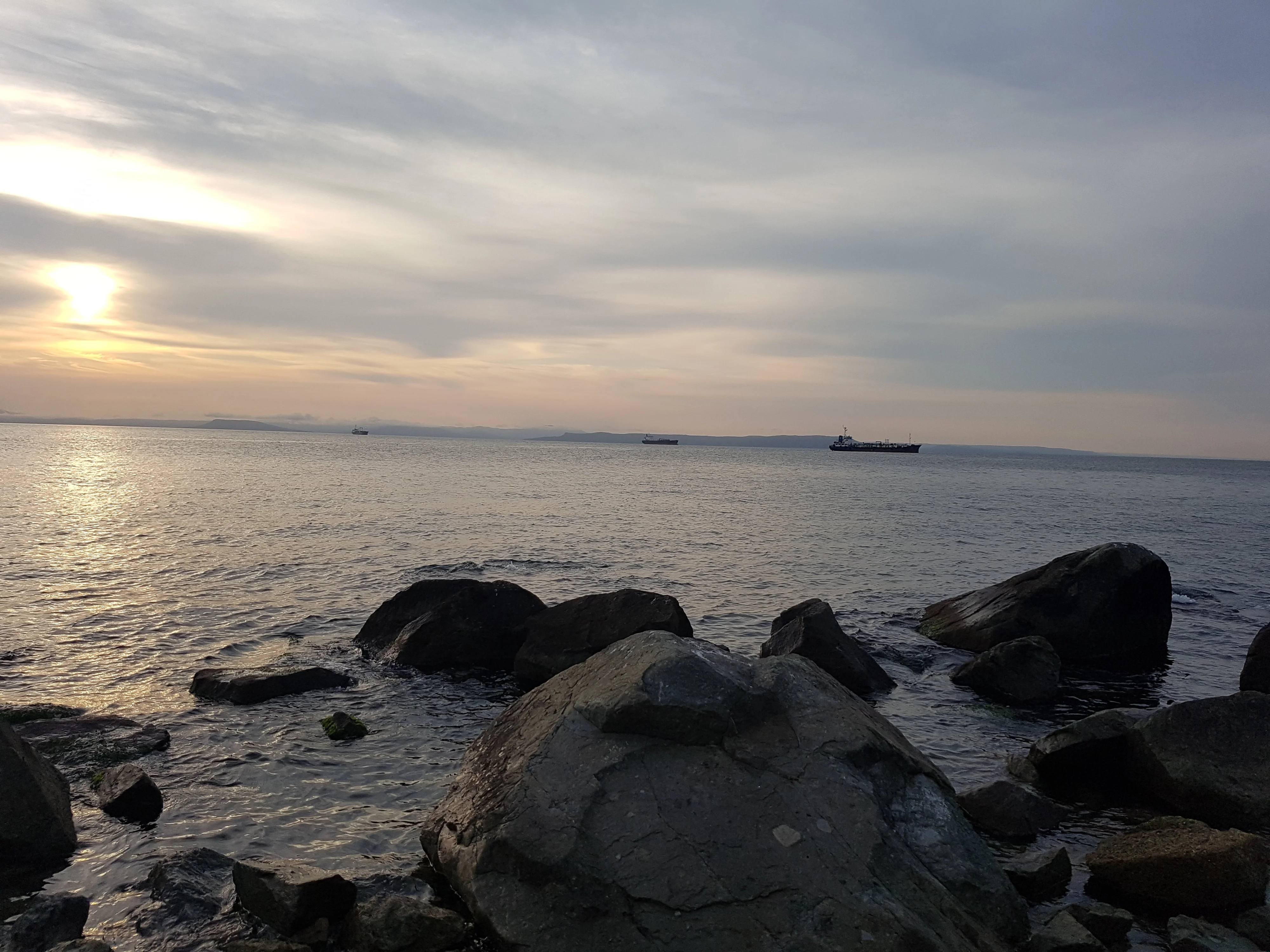 2020-07-22 20-00-09.webp