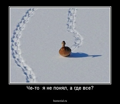 2020-08-04-18-39-54 (1).webp