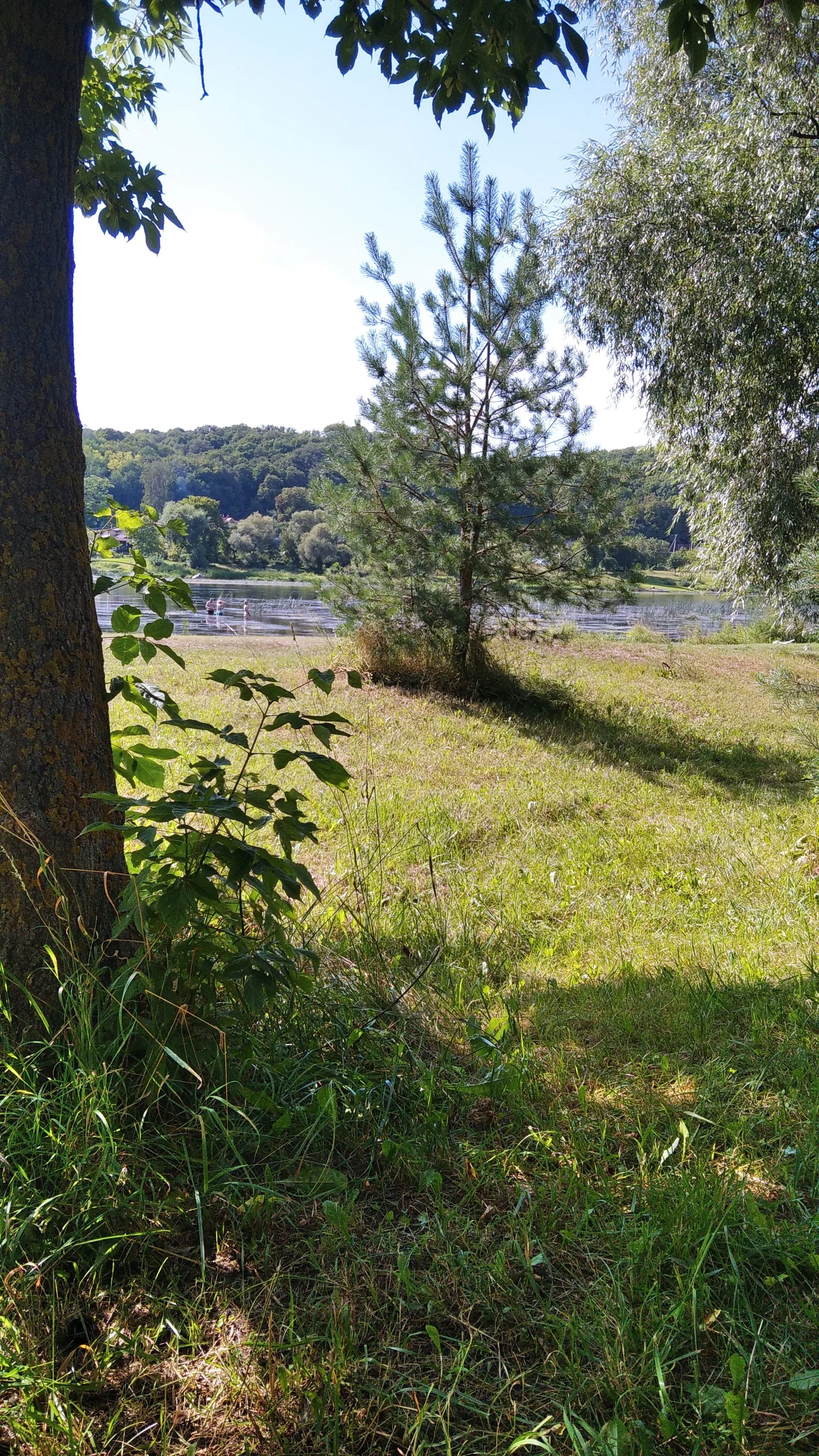 2020-08-08 16-19-10.webp