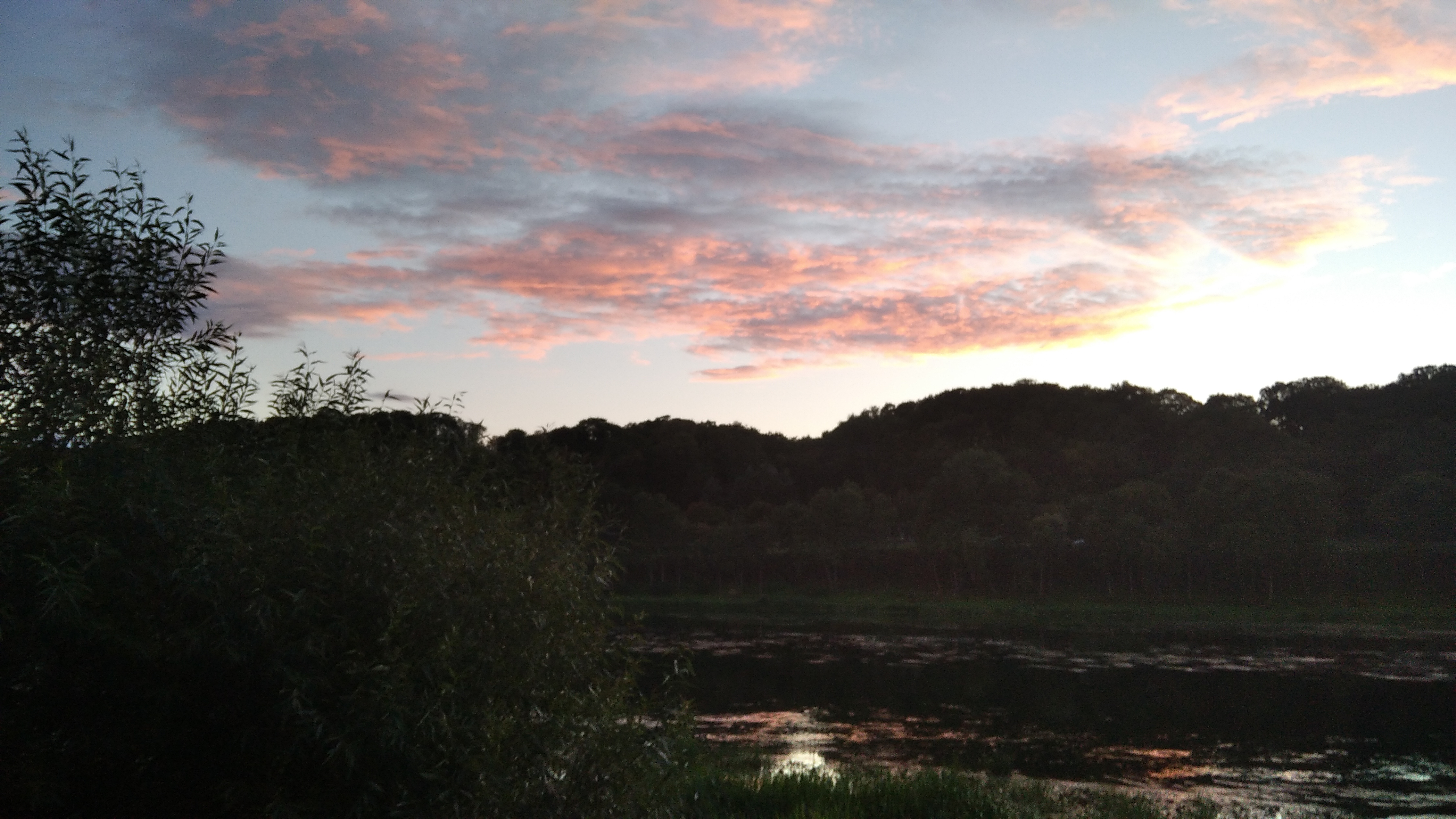 2020-08-25 20-35-04.JPG