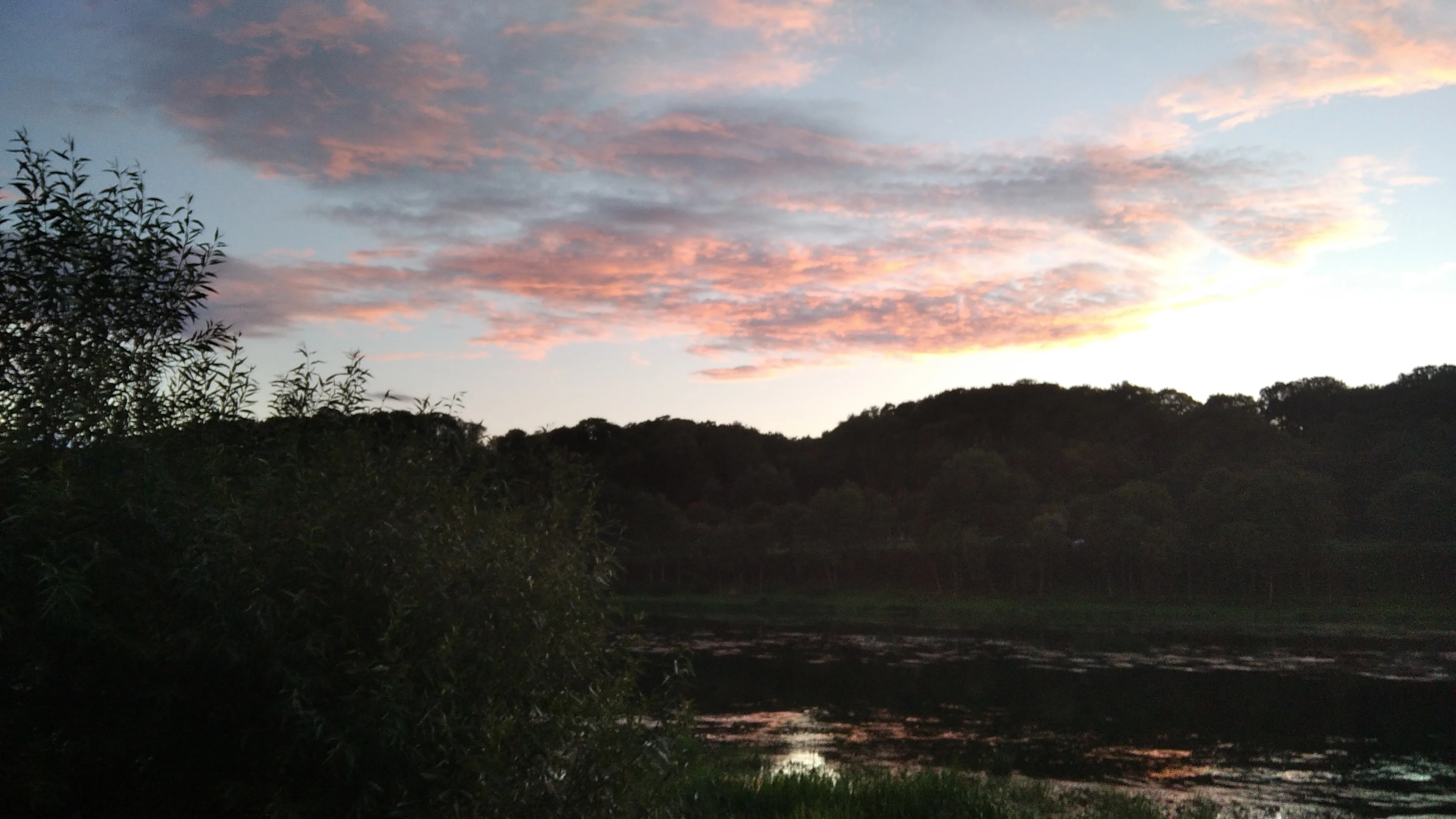 2020-08-25 20-35-04.webp