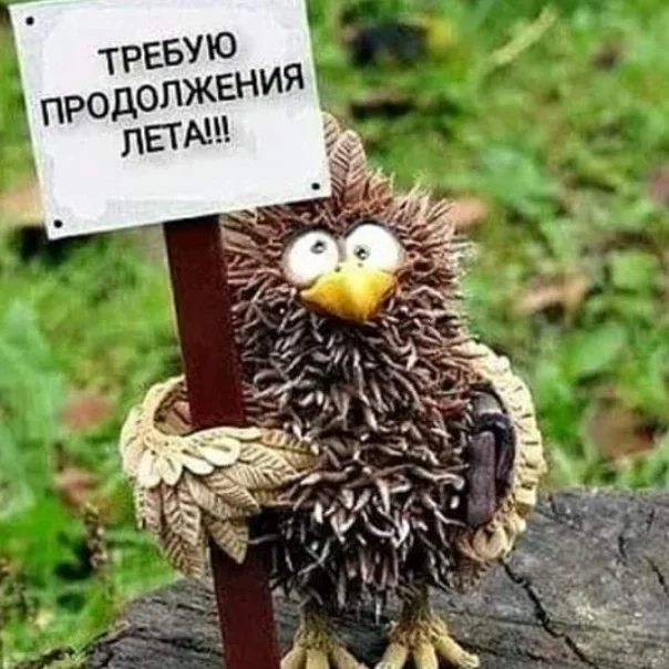 2020-09-02 11-47-33.webp