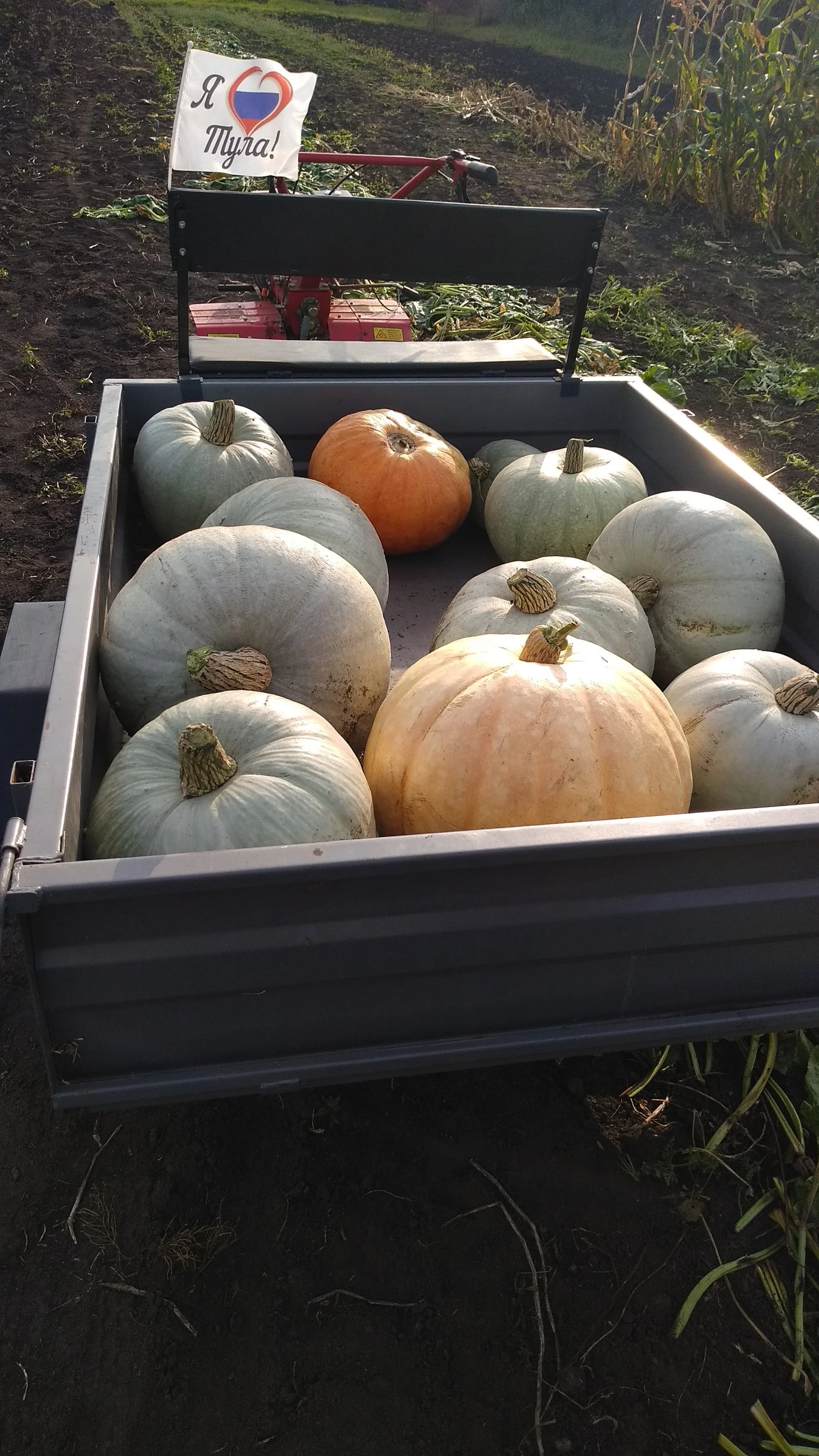 2020-09-26 16-02-36.webp