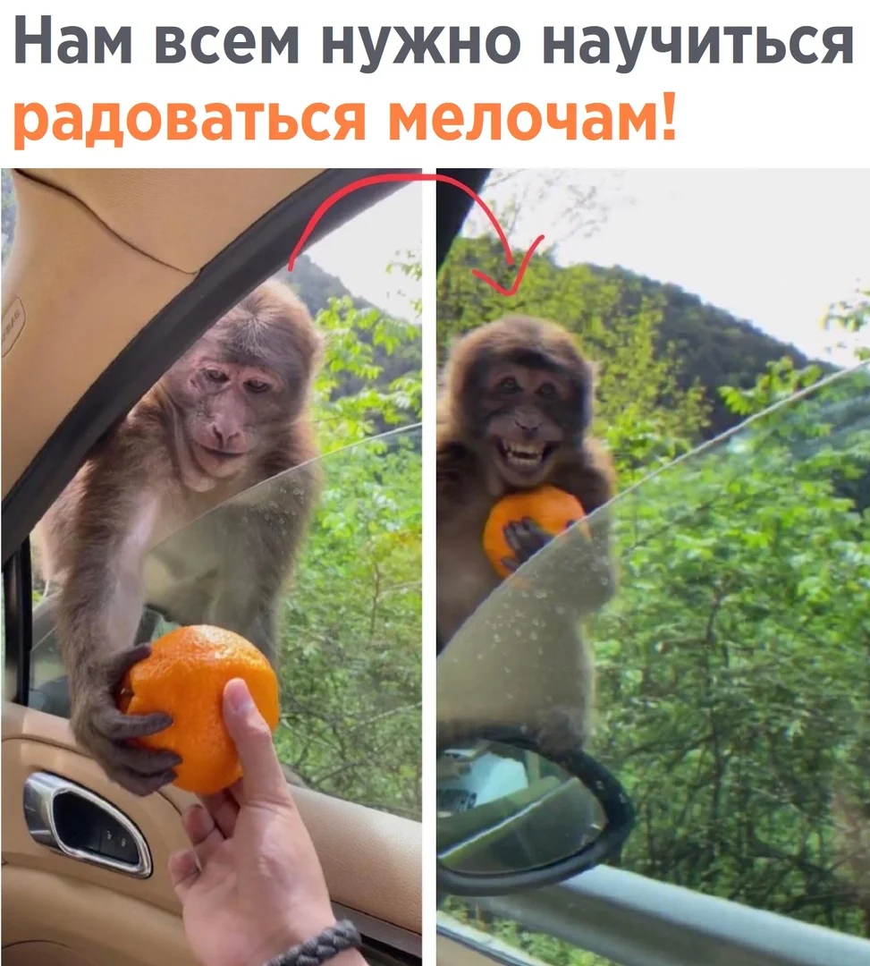 2020-10-10-23-02-04 (1).webp