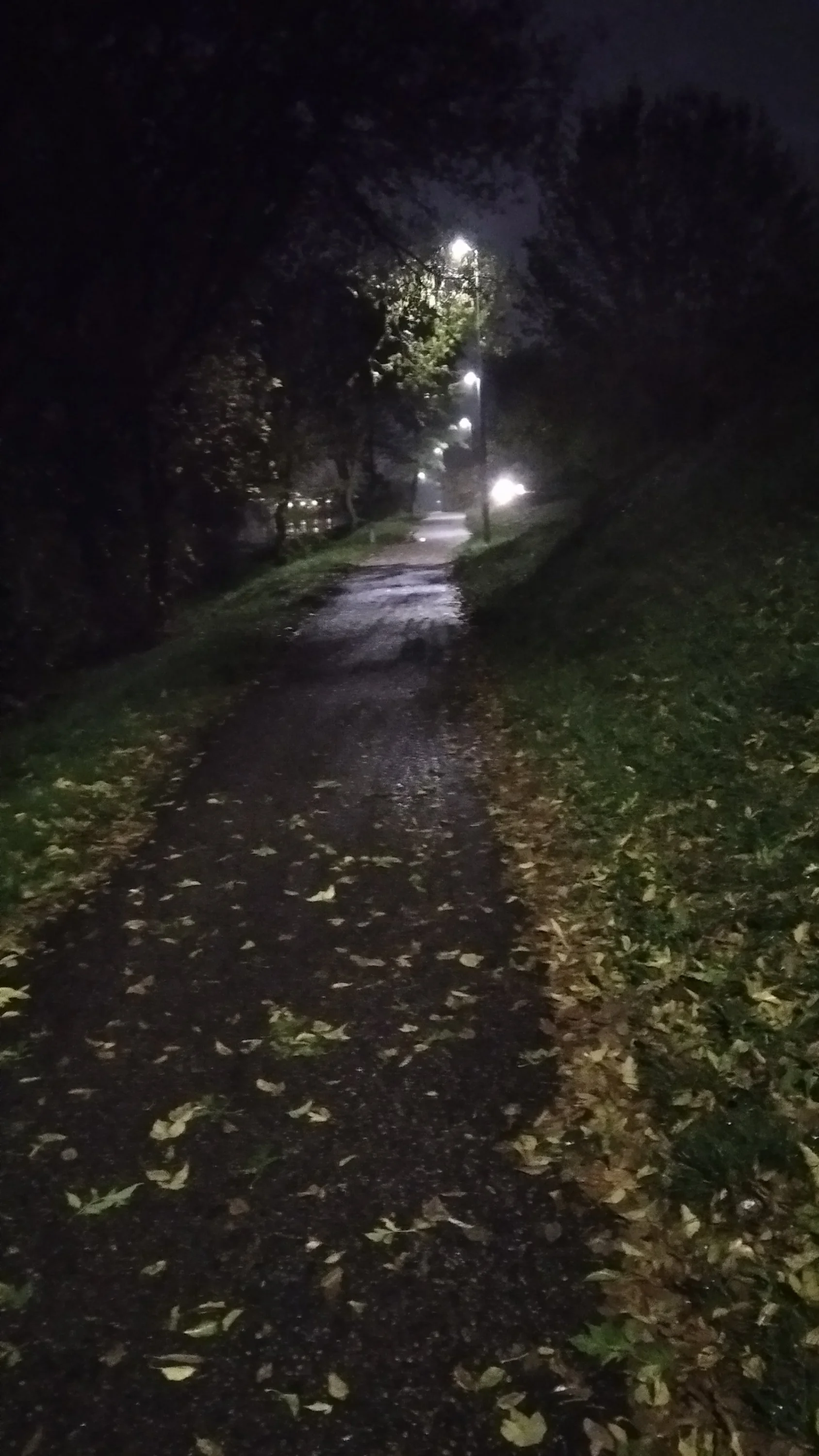 2020-10-30 17-41-30.JPG