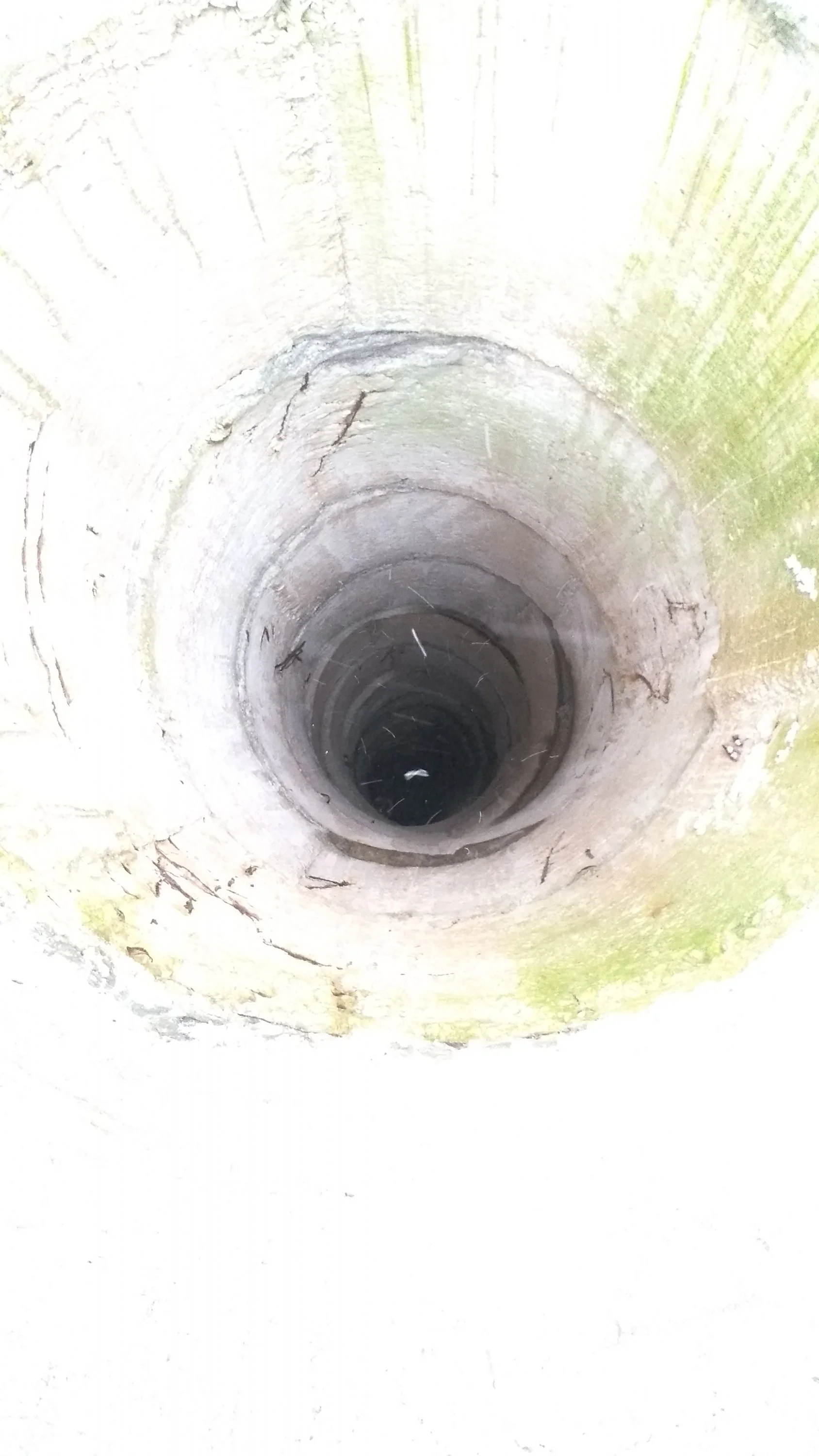 2020-12-19 09-59-52.webp