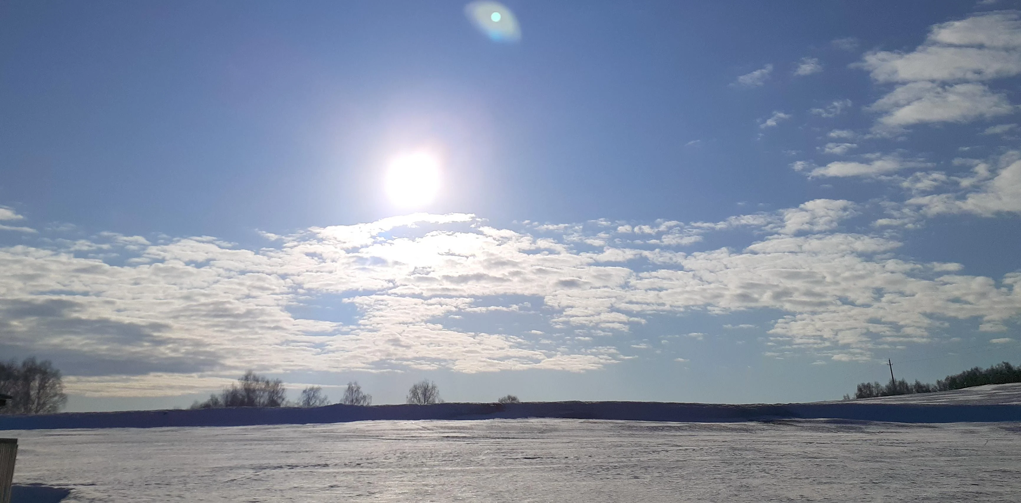 20200318_090930 copy.webp